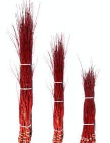 Dogwood Cardinal Red Small 40"-48"