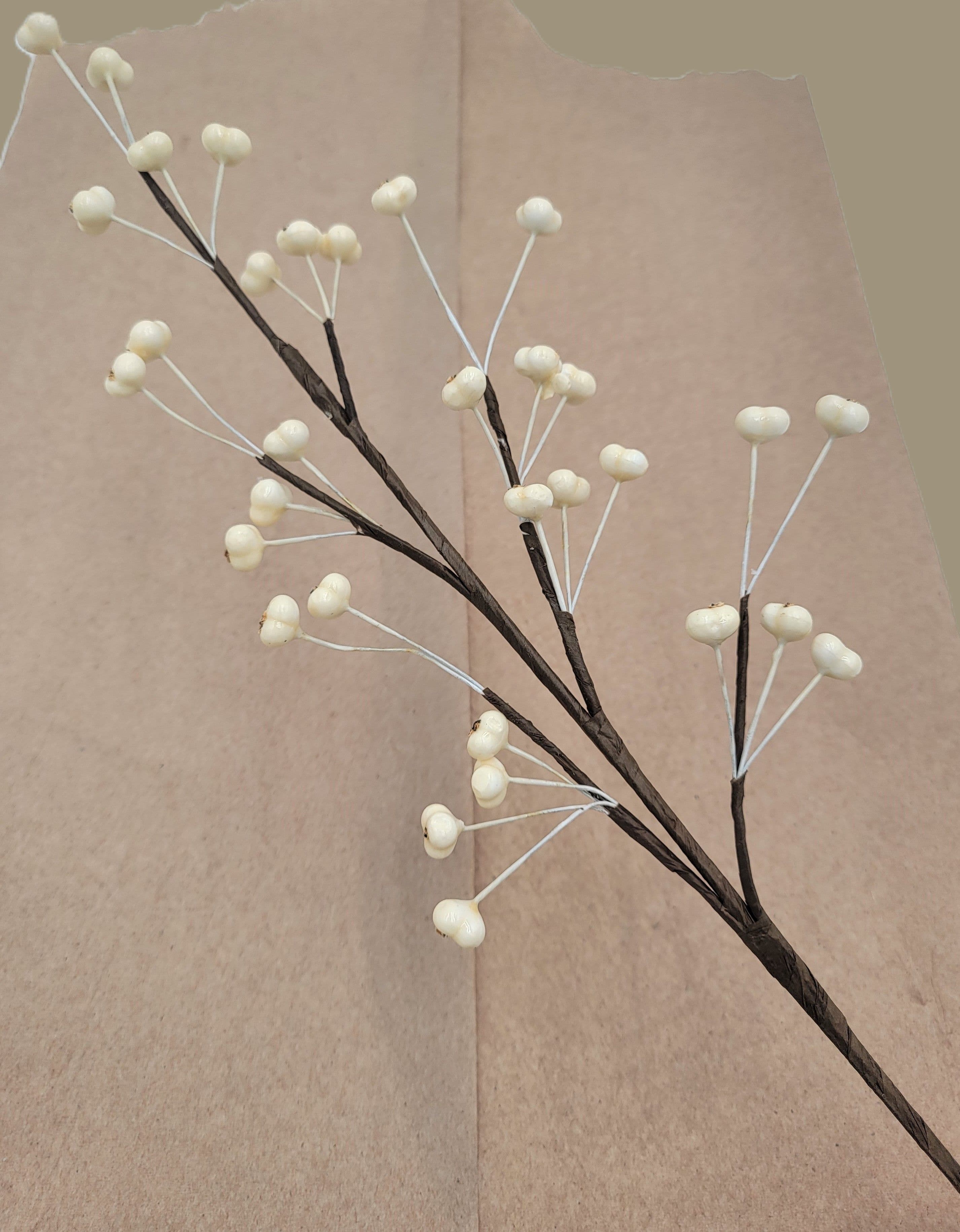 Berry Talloberry Cream 18"