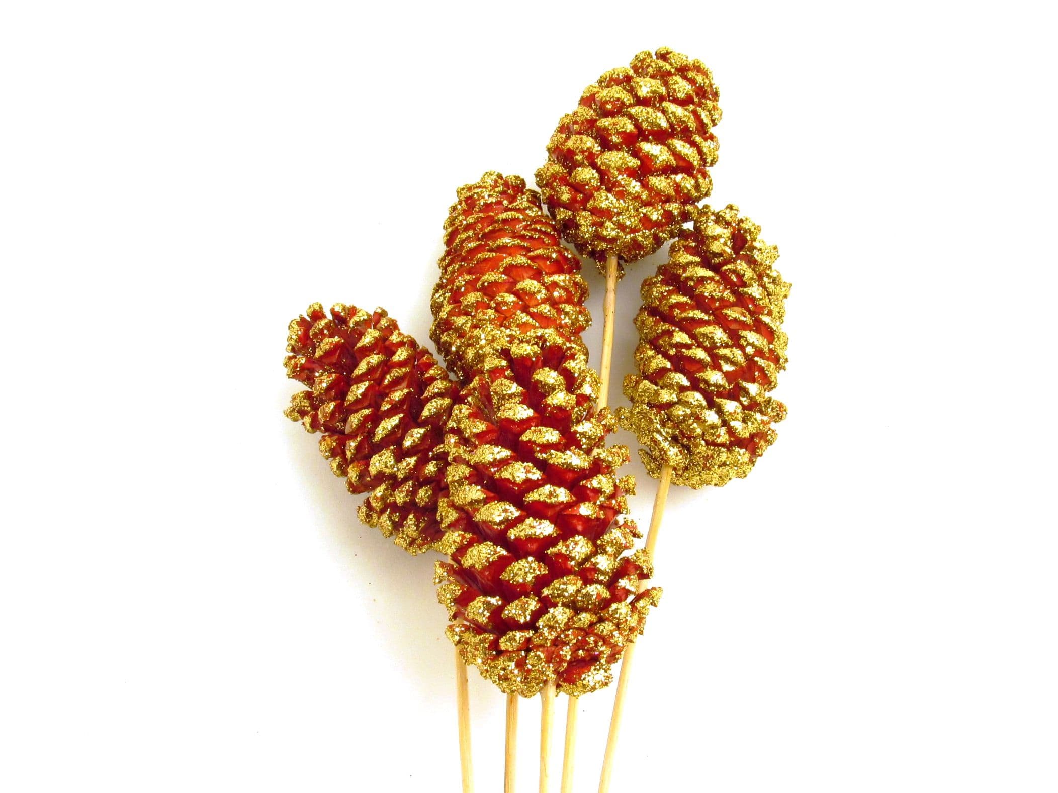 Pine Cone Reg Red W/ Gold Tip
