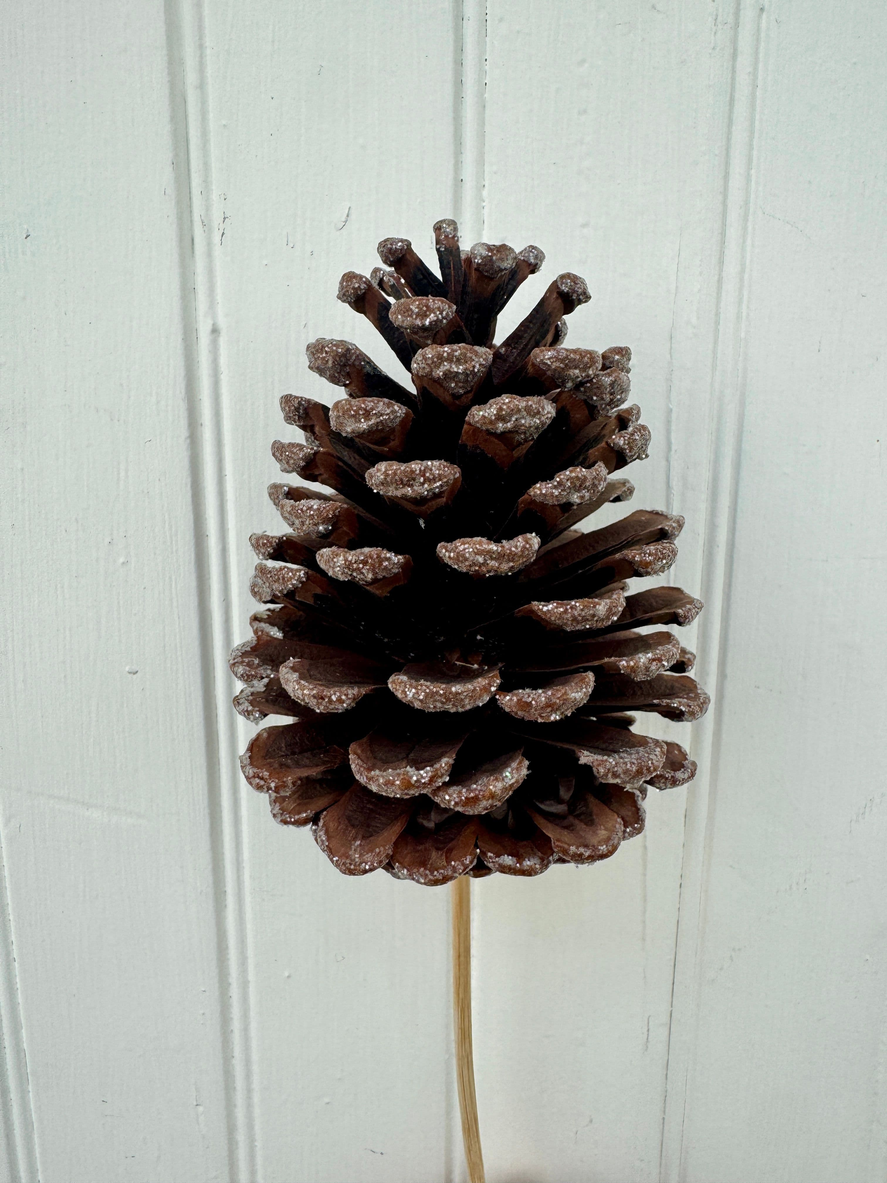 Pine Cone Large Sugared
