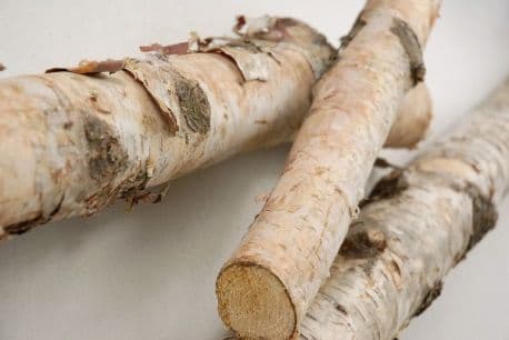 Birch Poles 1-2" Dia/24" Long