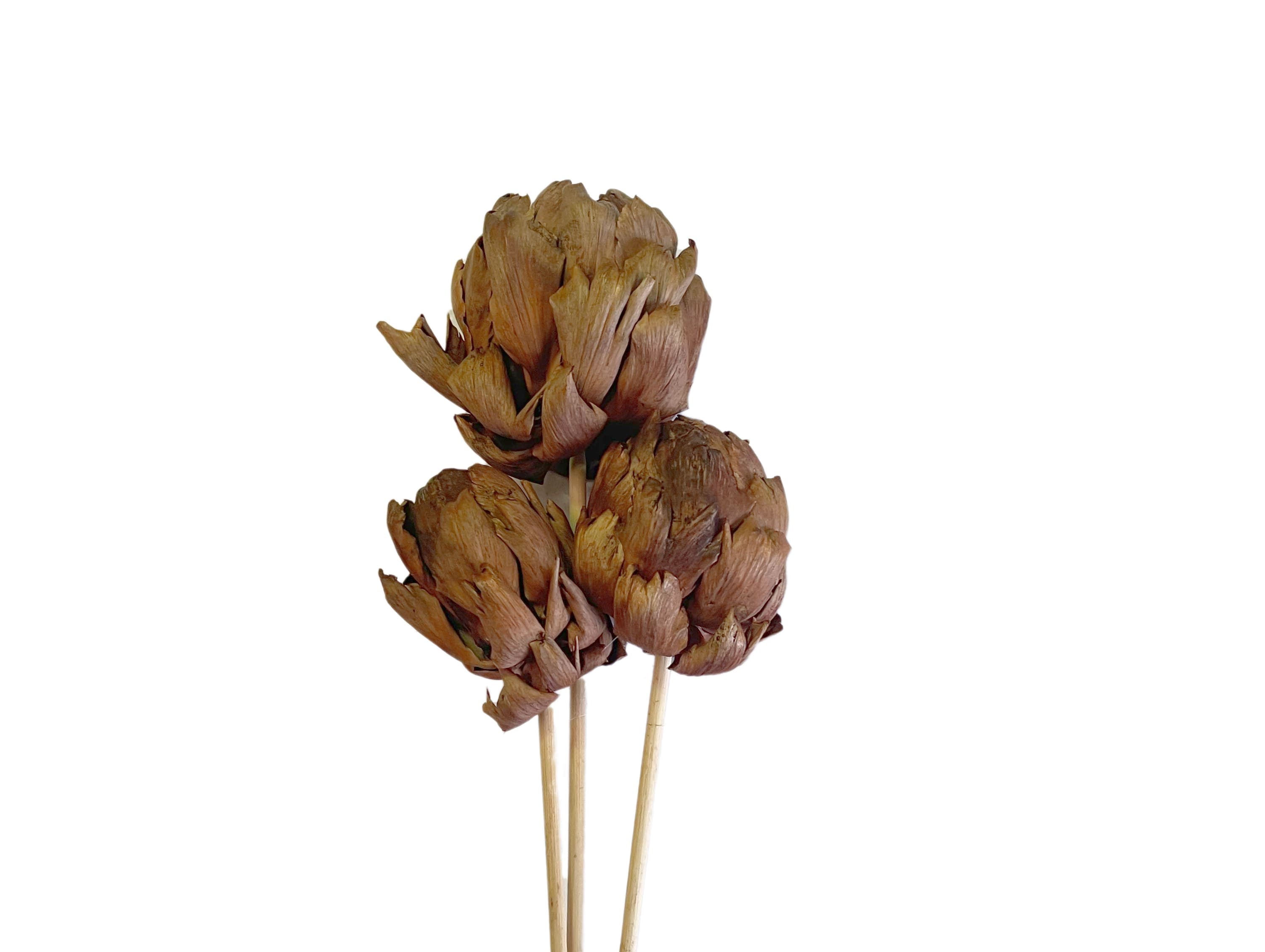 Artichoke Large Mahogany 18"
