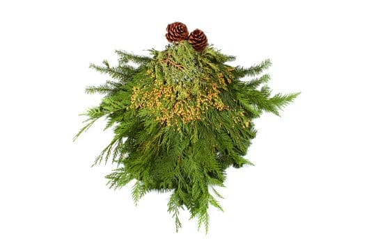 Door Swag Evergreen Bunch 24"