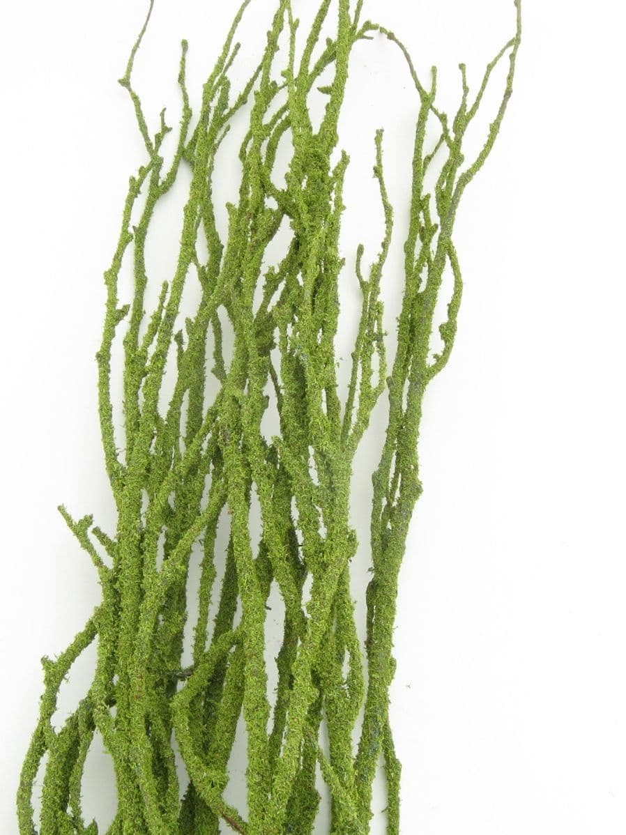 Birch Large Moss Covered 40"-48"