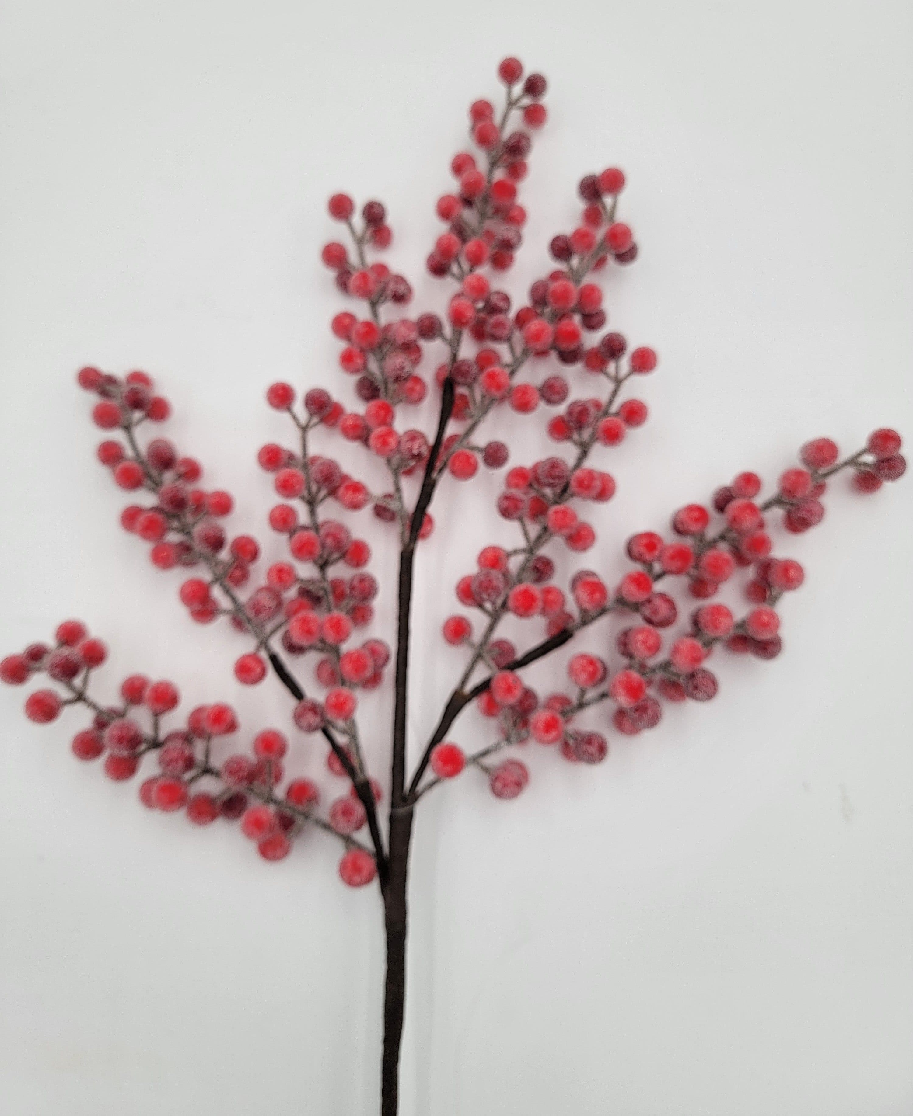 Berry Spray Sugared Red 24"