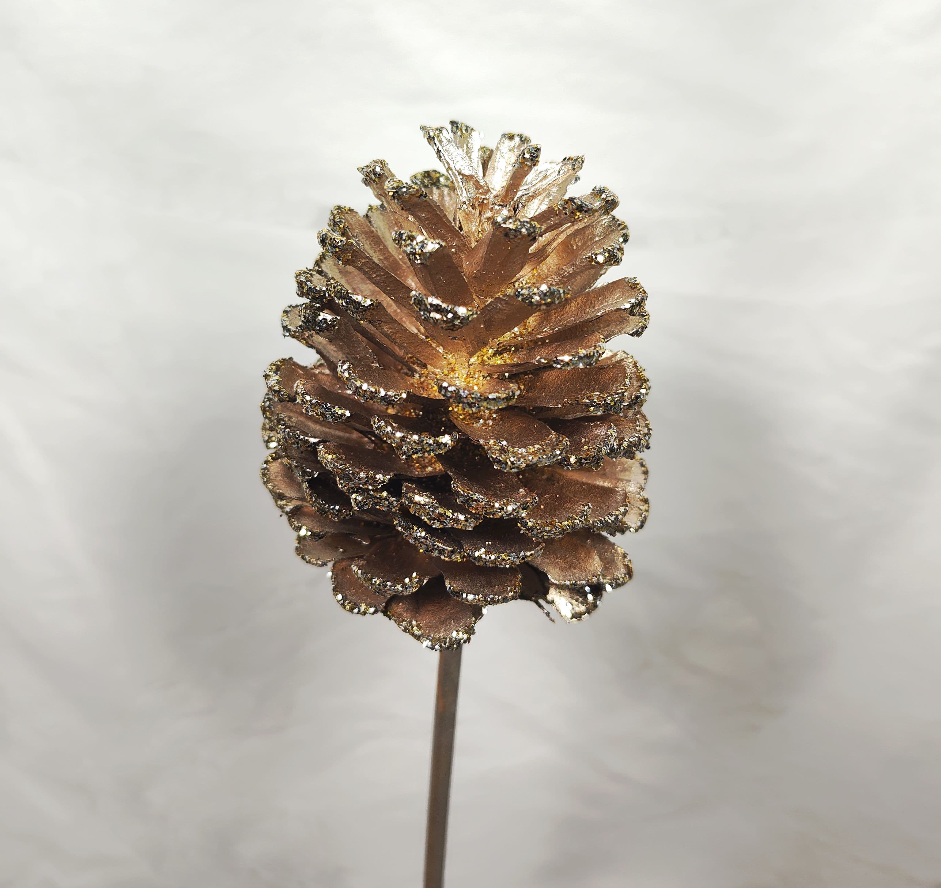 Pine Cone Reg Glittered Champagne