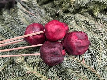 Pomegranate Dried Red