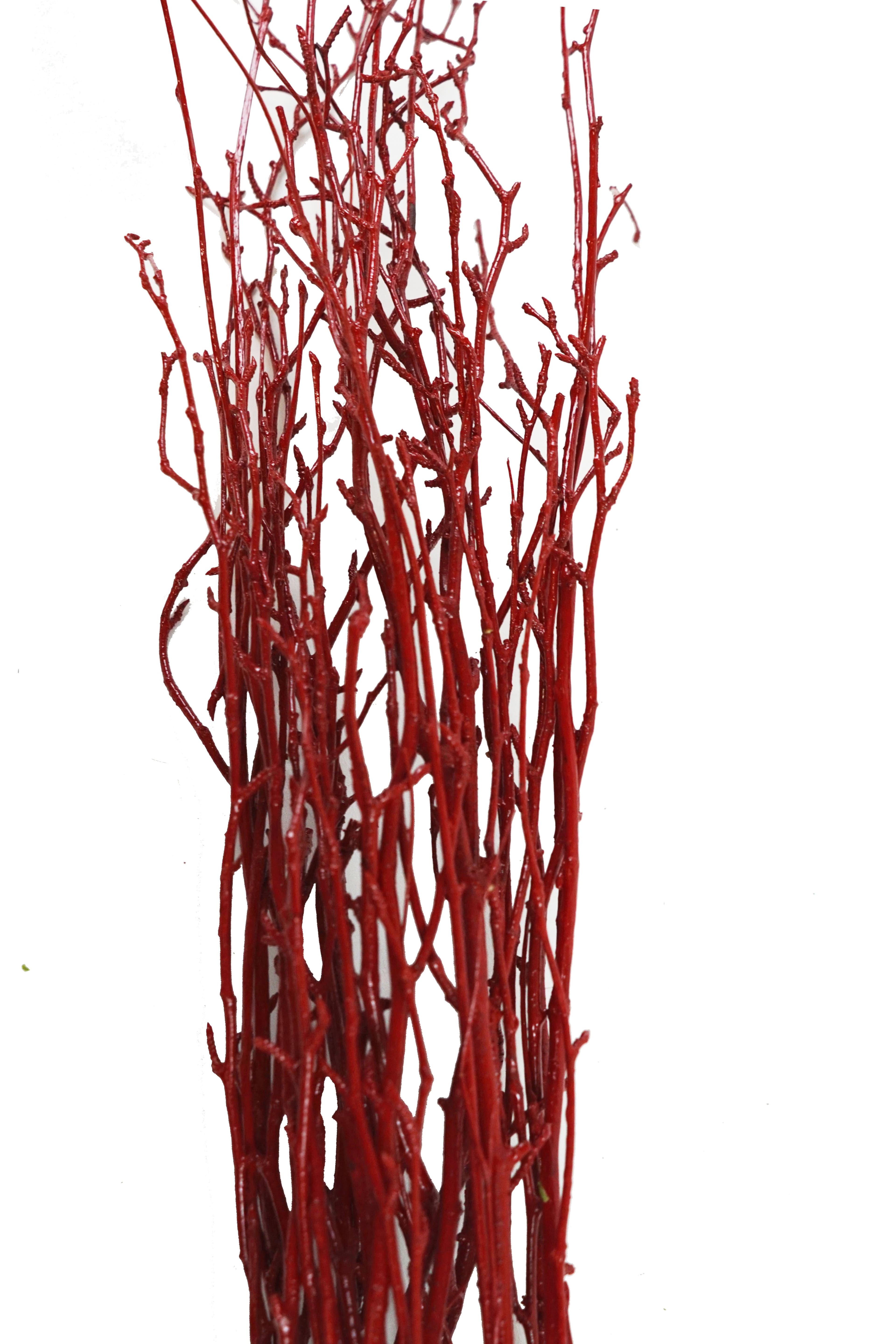 Birch Large Painted Red 40"-48"