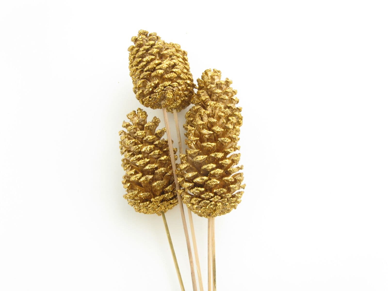 Pine Cone Reg Glittered Gold