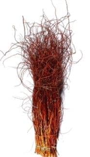 Curly Willow Tips Copper Red 36"-40"
