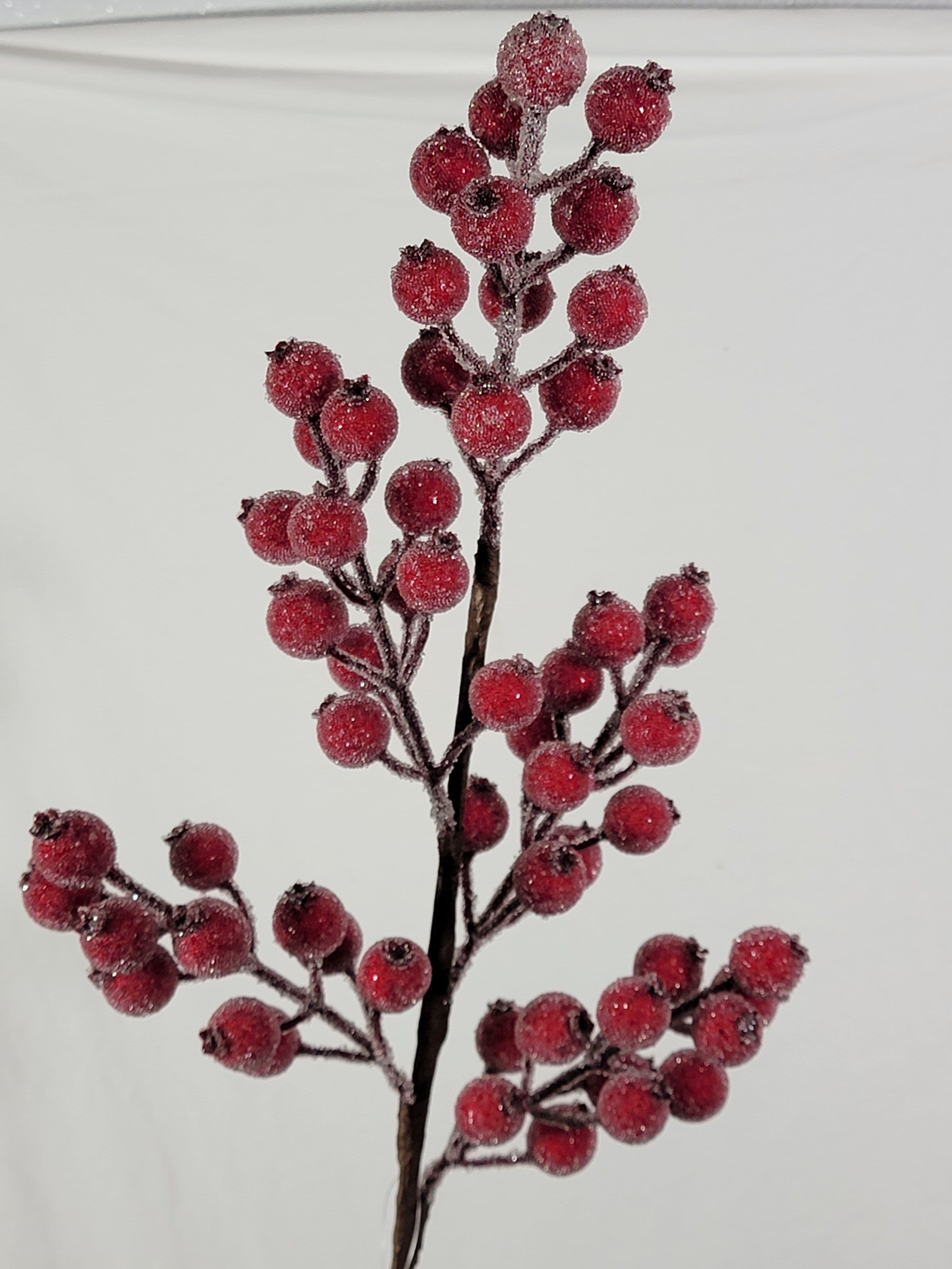 Berry Hawthorne Spray Sugared Red 24"