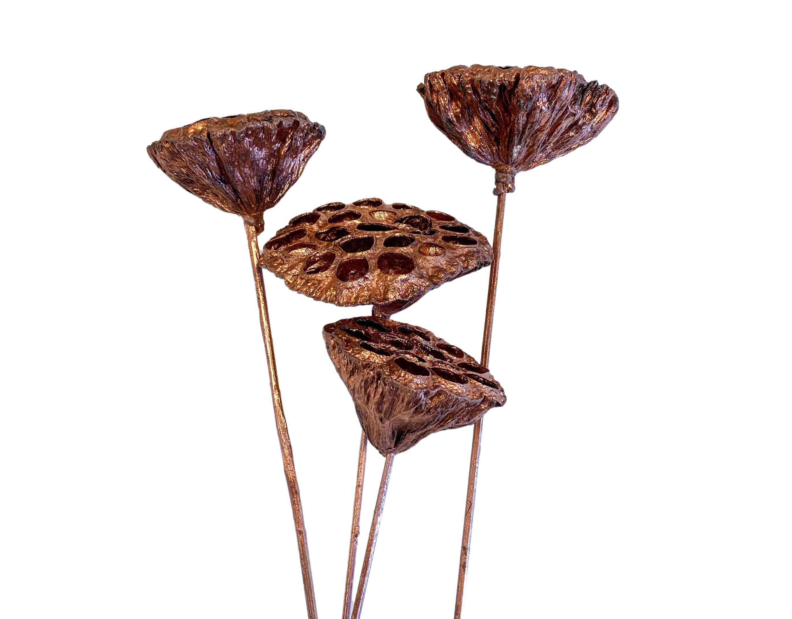 Lotus Pod Copper