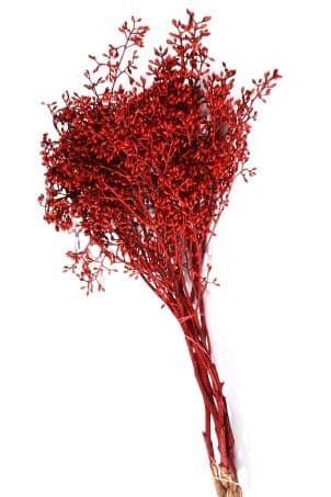 Eucalyptus Seeded Naked Red Bunch