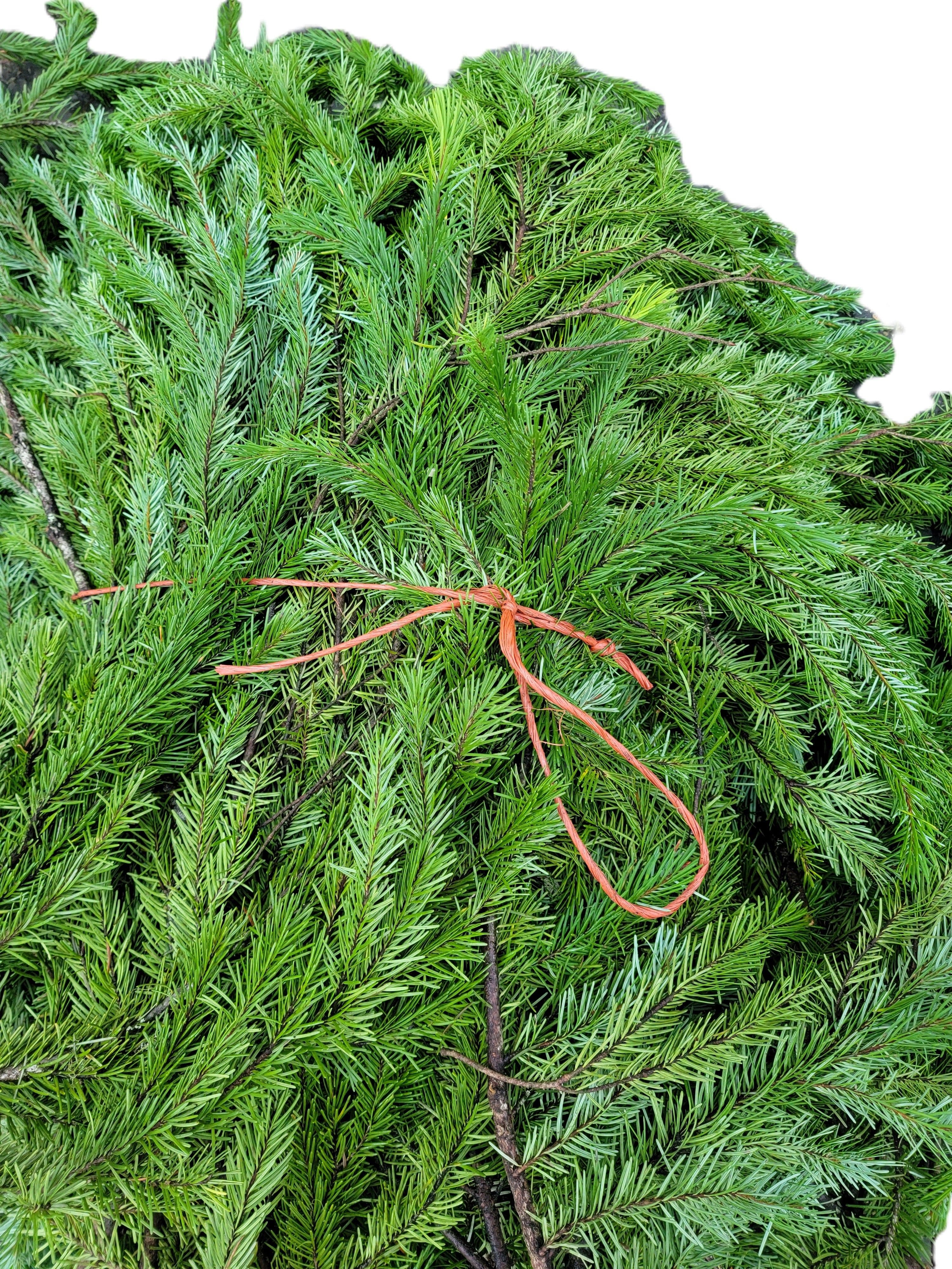 Douglas Fir Bale