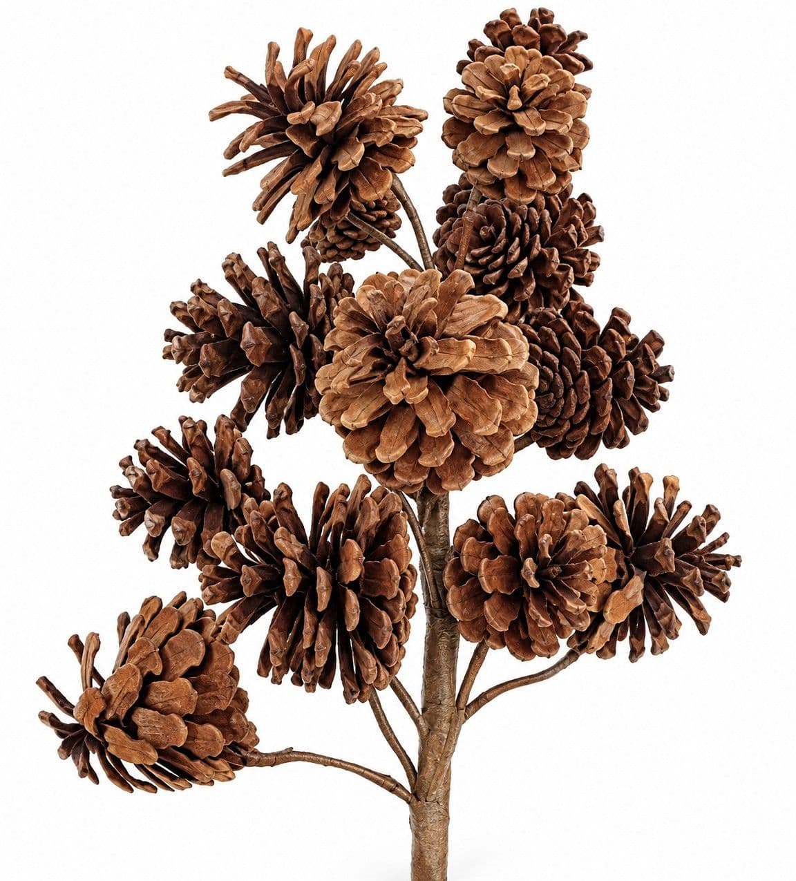 Pine Cone Multi Spray Natural 24"