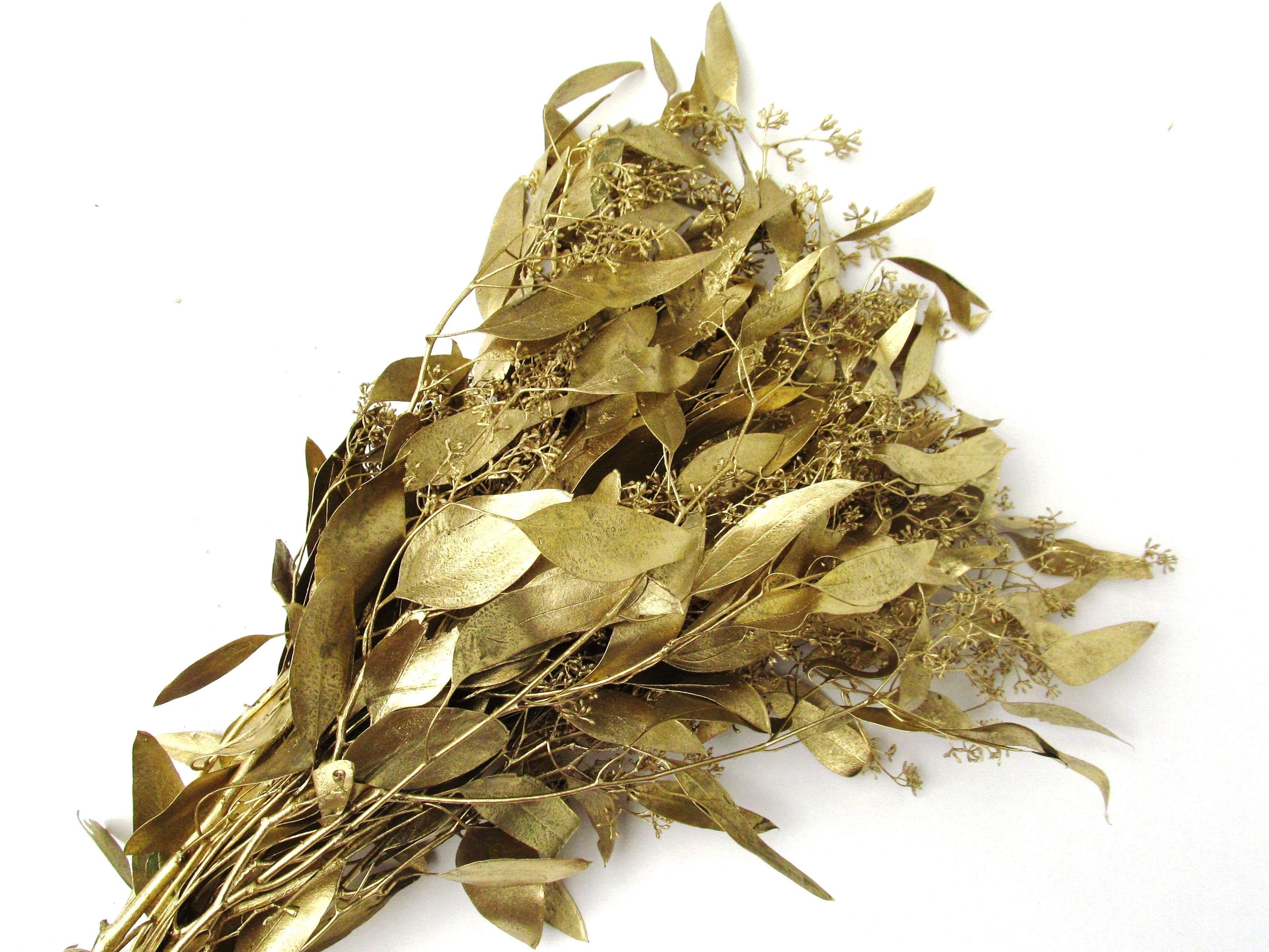 Eucalyptus Seeded Painted Gold Bunch