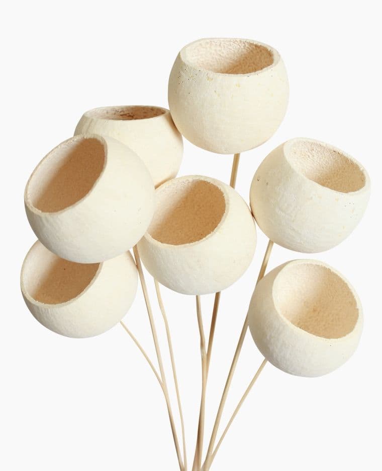 Bell Cups Bleached 20"