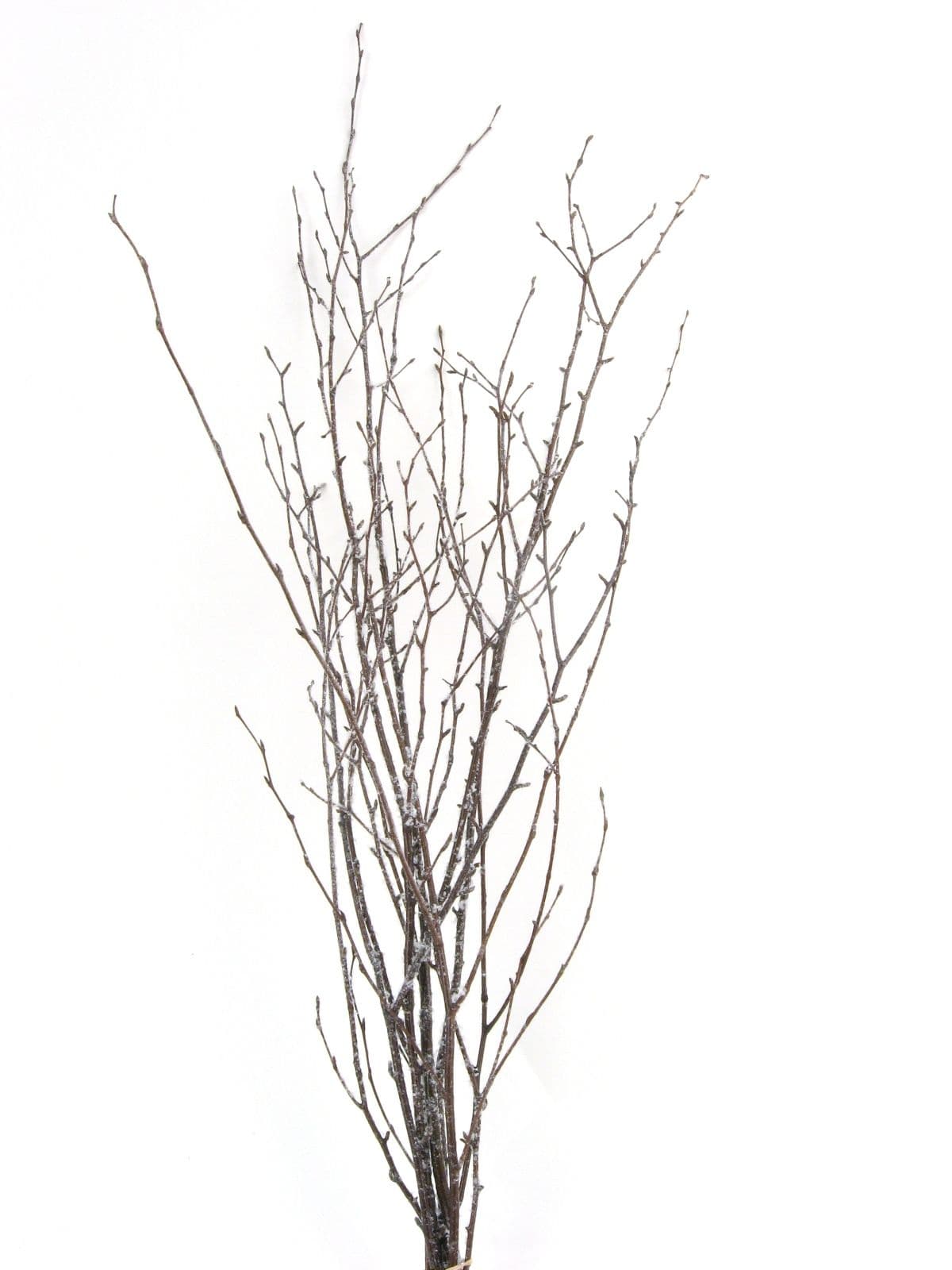 Birch Large Snow Covered/Glittered 40"-48"