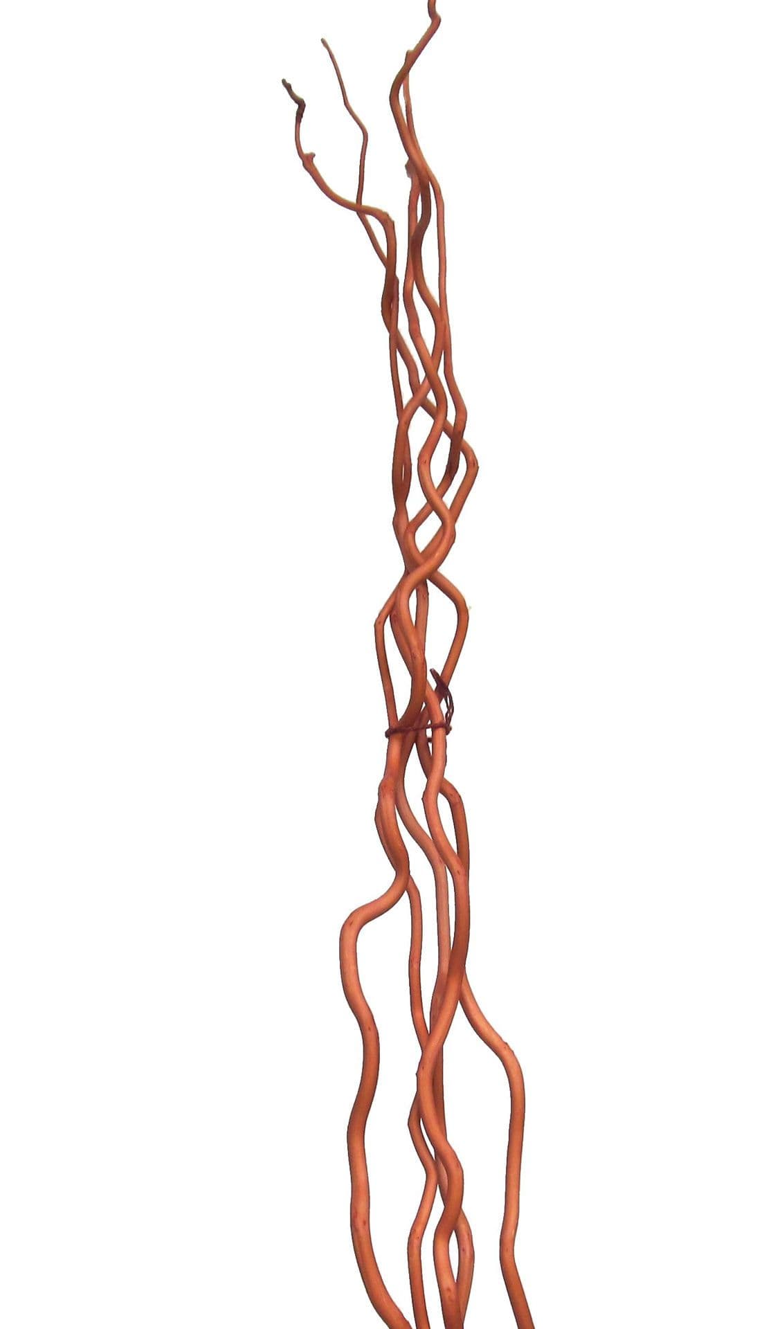 Kuwa Medium Natural 44"-48"