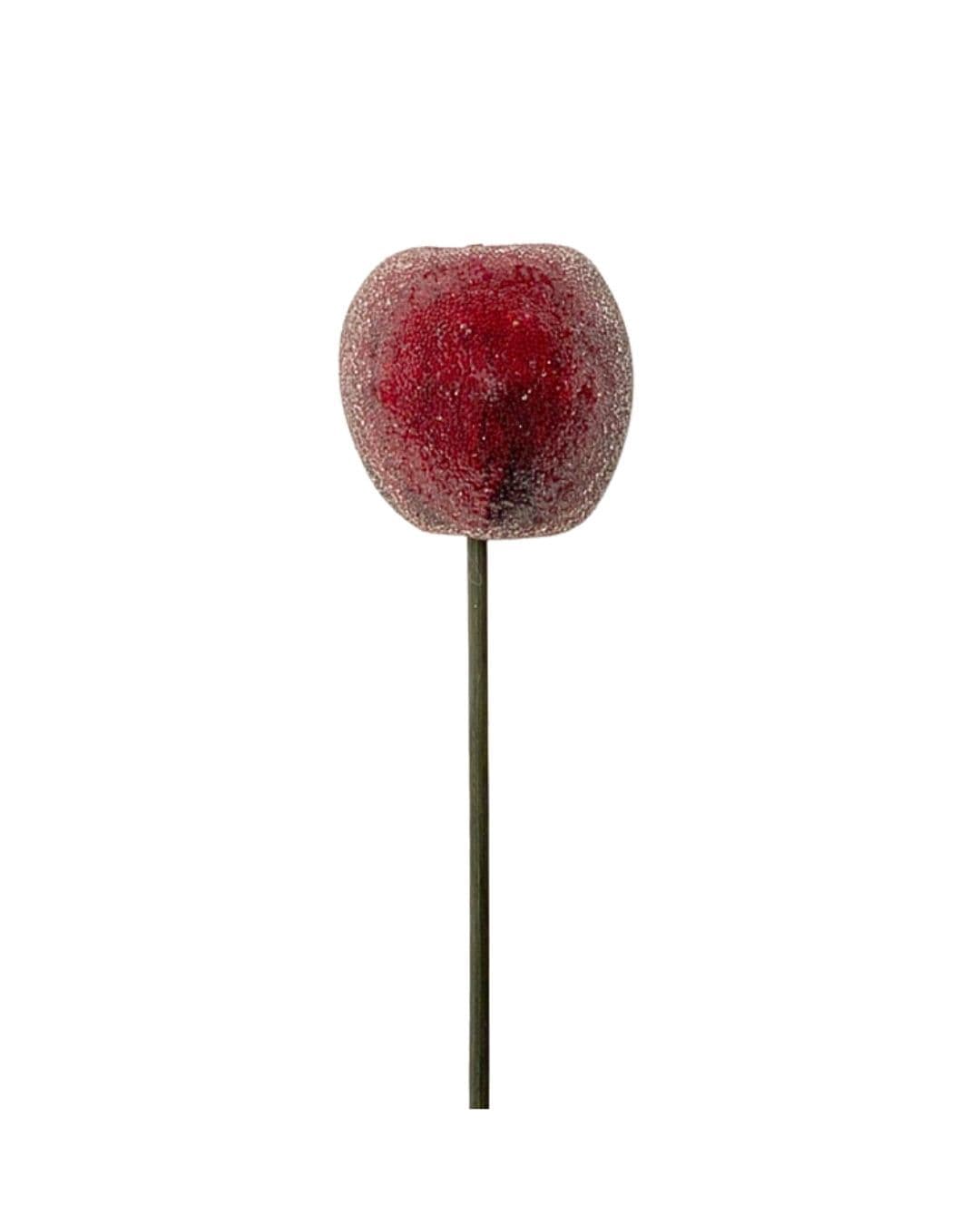 Apple Faux Sugared Red 17"