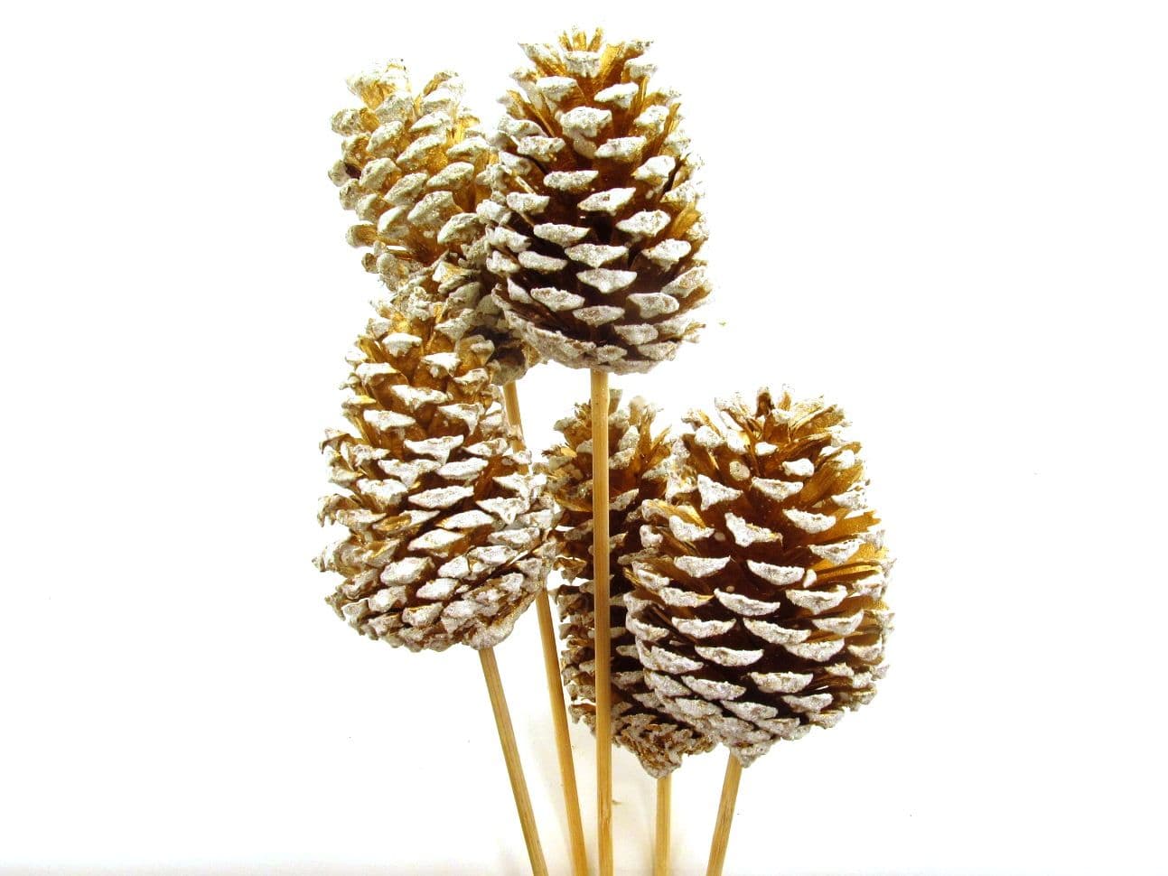Pine Cone Reg Gold W/White Tip