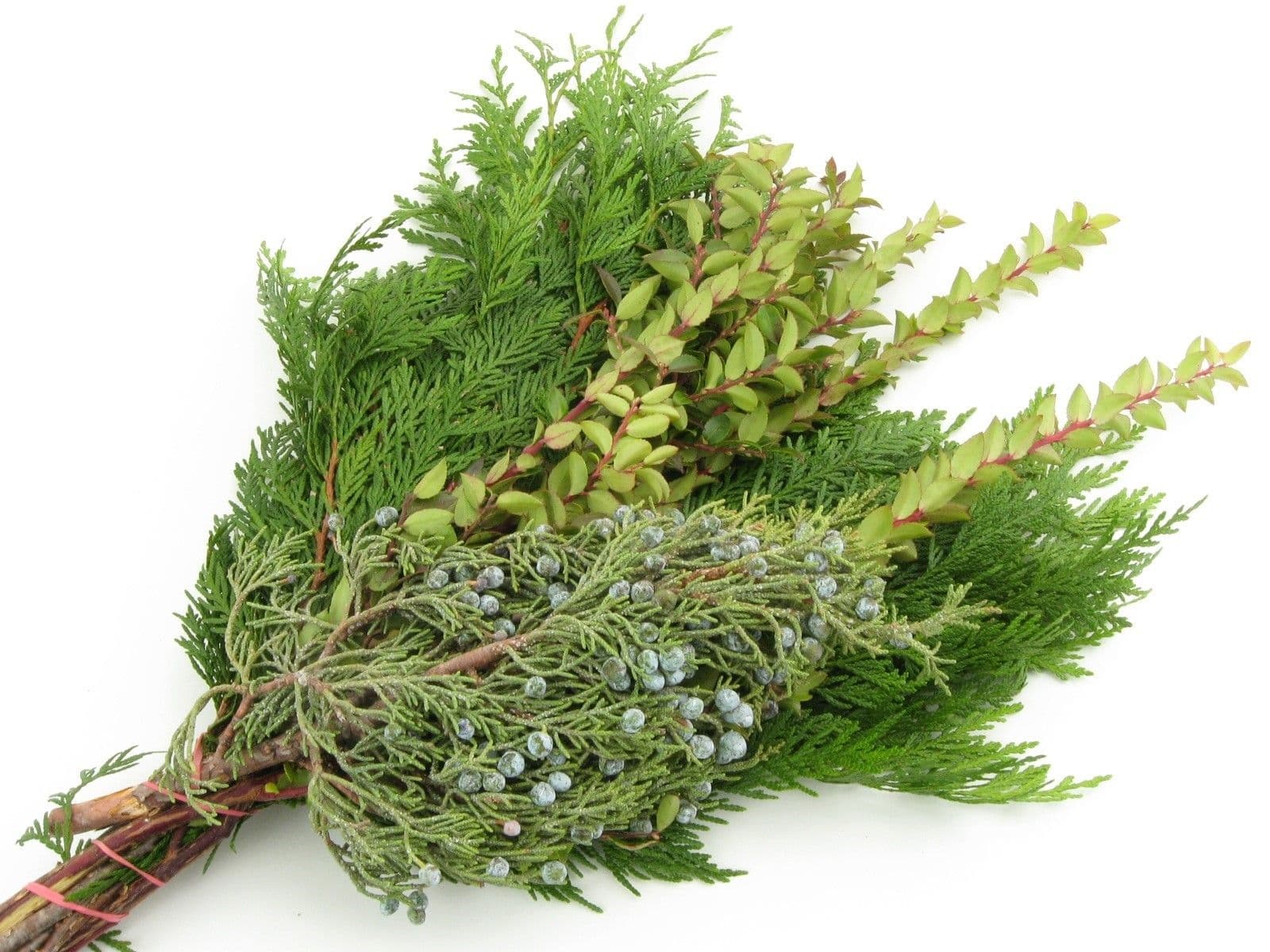 Sleeved Bouquet Cedar Juniper Huck