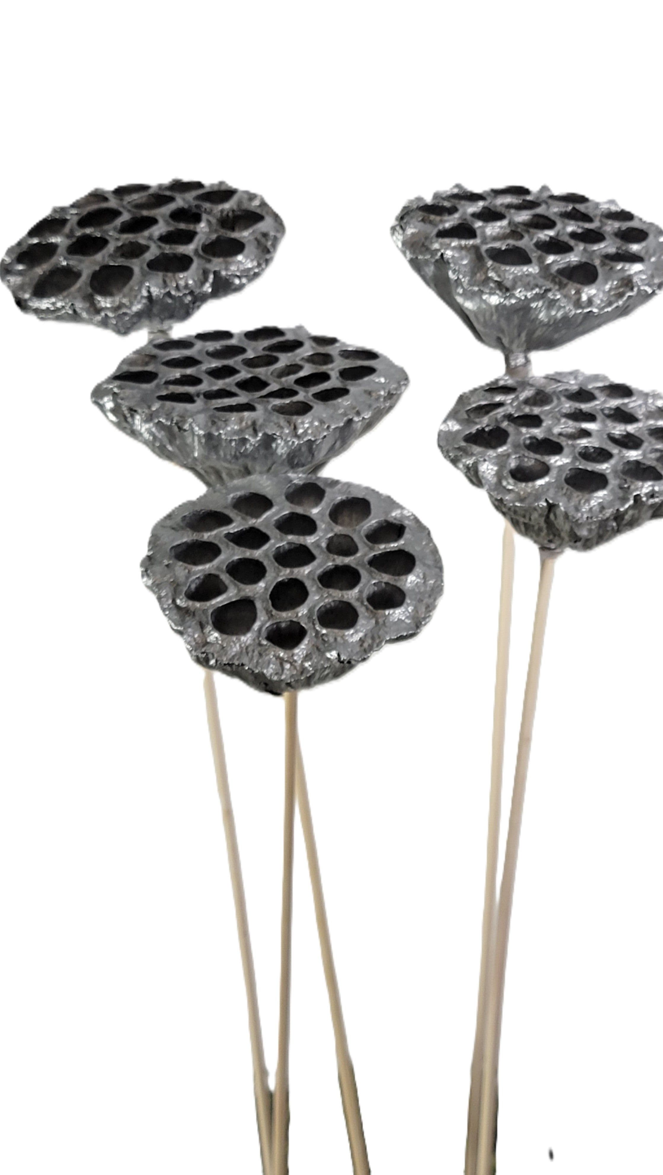 Lotus Pod Metallic Silver