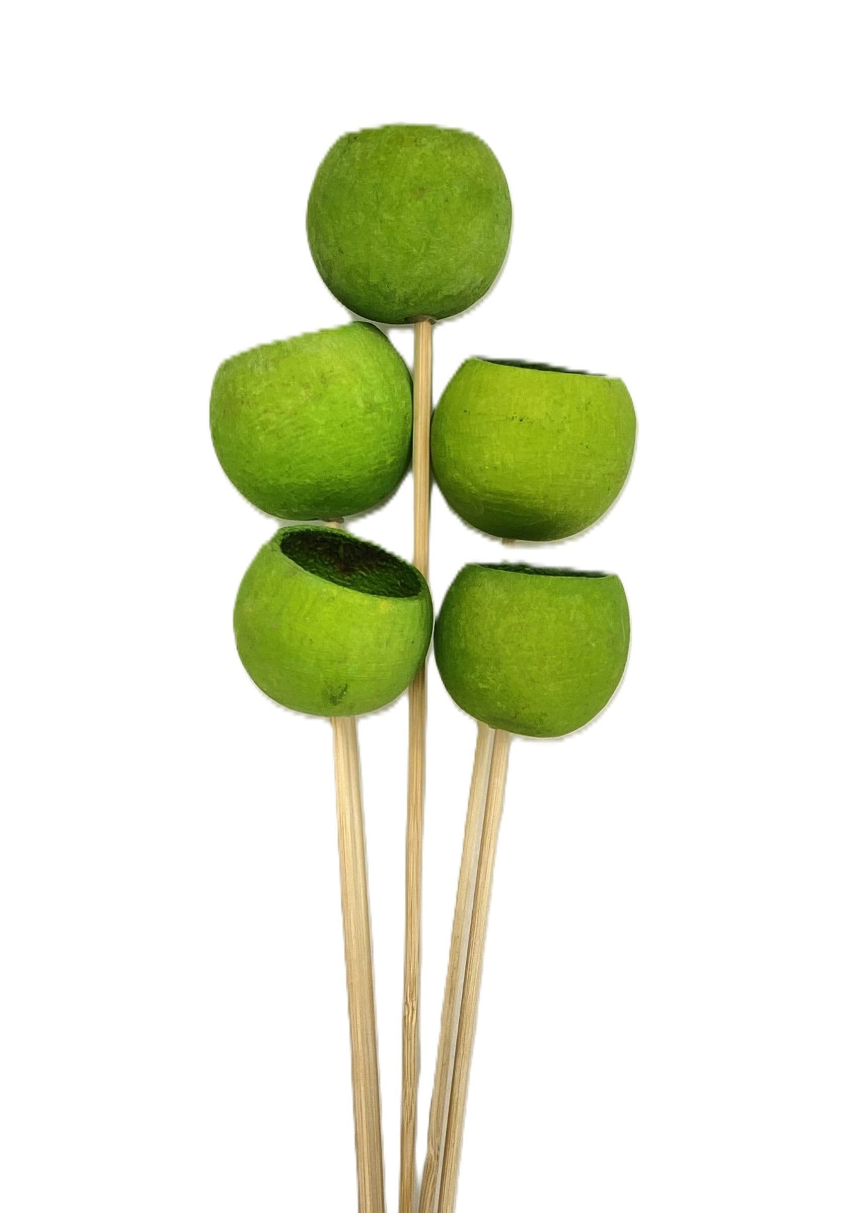 Bell Cups Green 20"