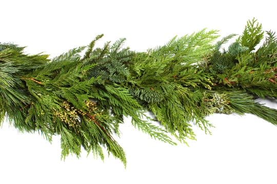 Premium Mixed 25' Boxed Garland
