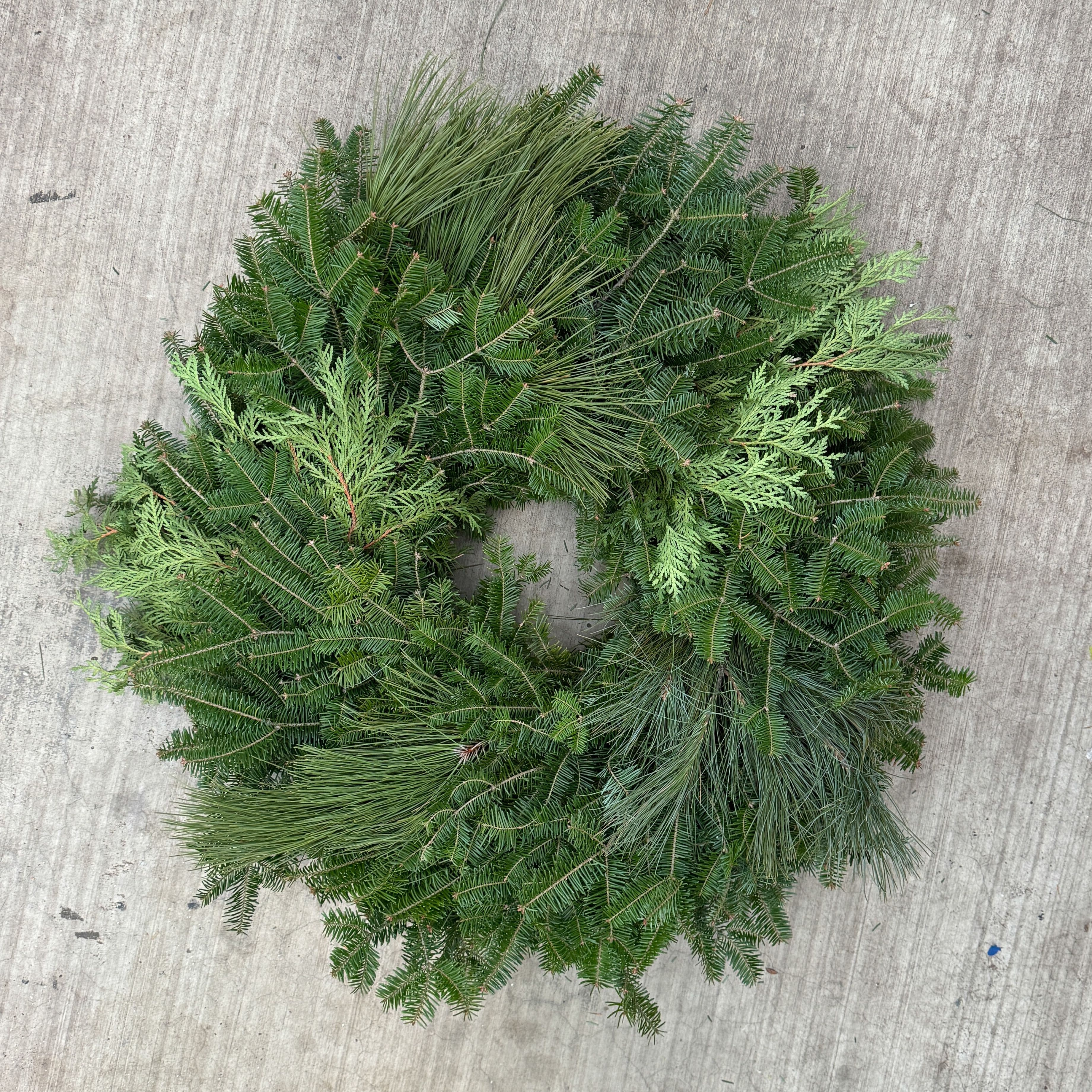 Balsam Cedar Red Pine 24" Wreath