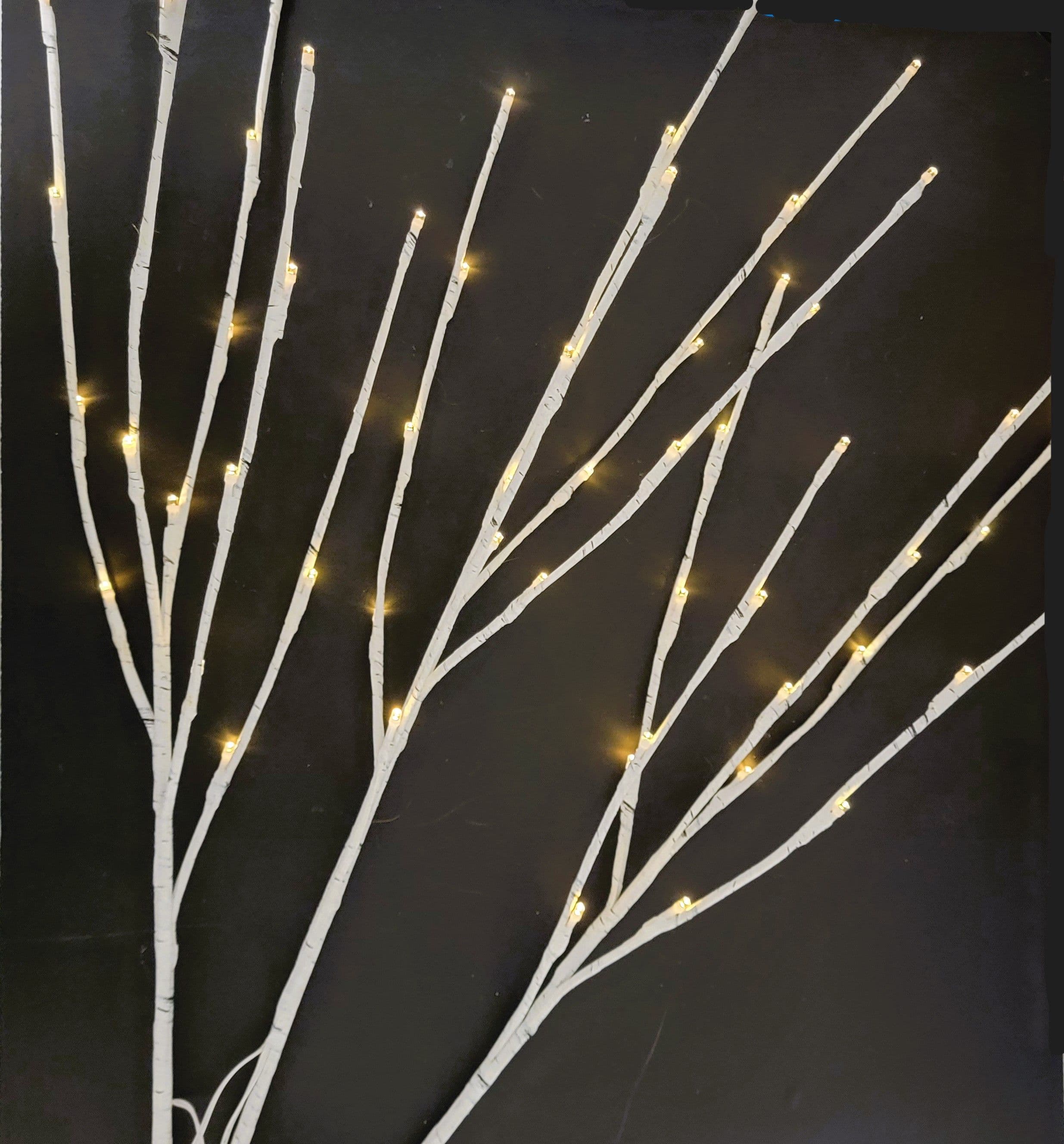 Birch Lights White Battery Operated 30"