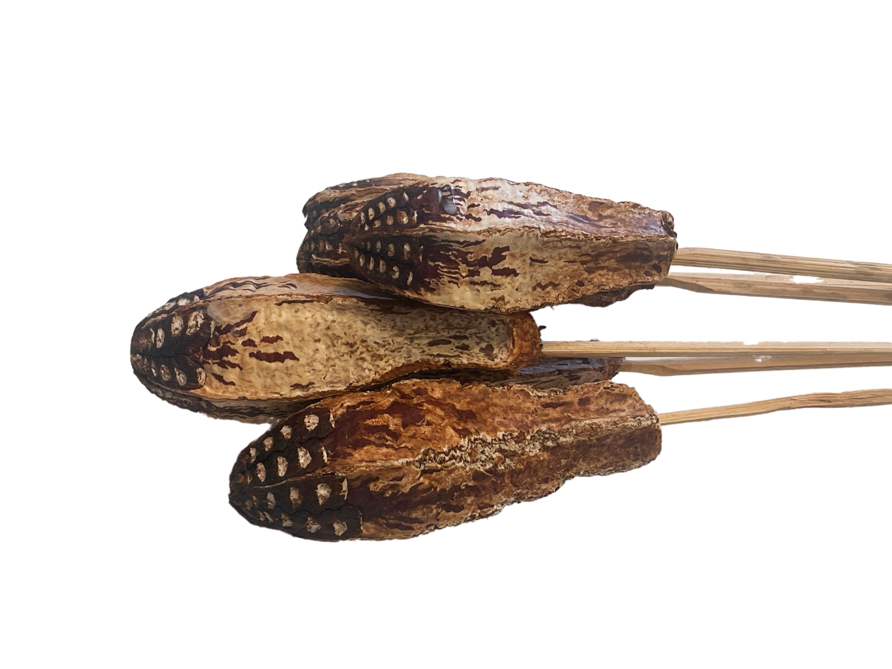 Mahogany Pod Natural