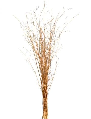 Birch Large Glittered Gold 40"-48"