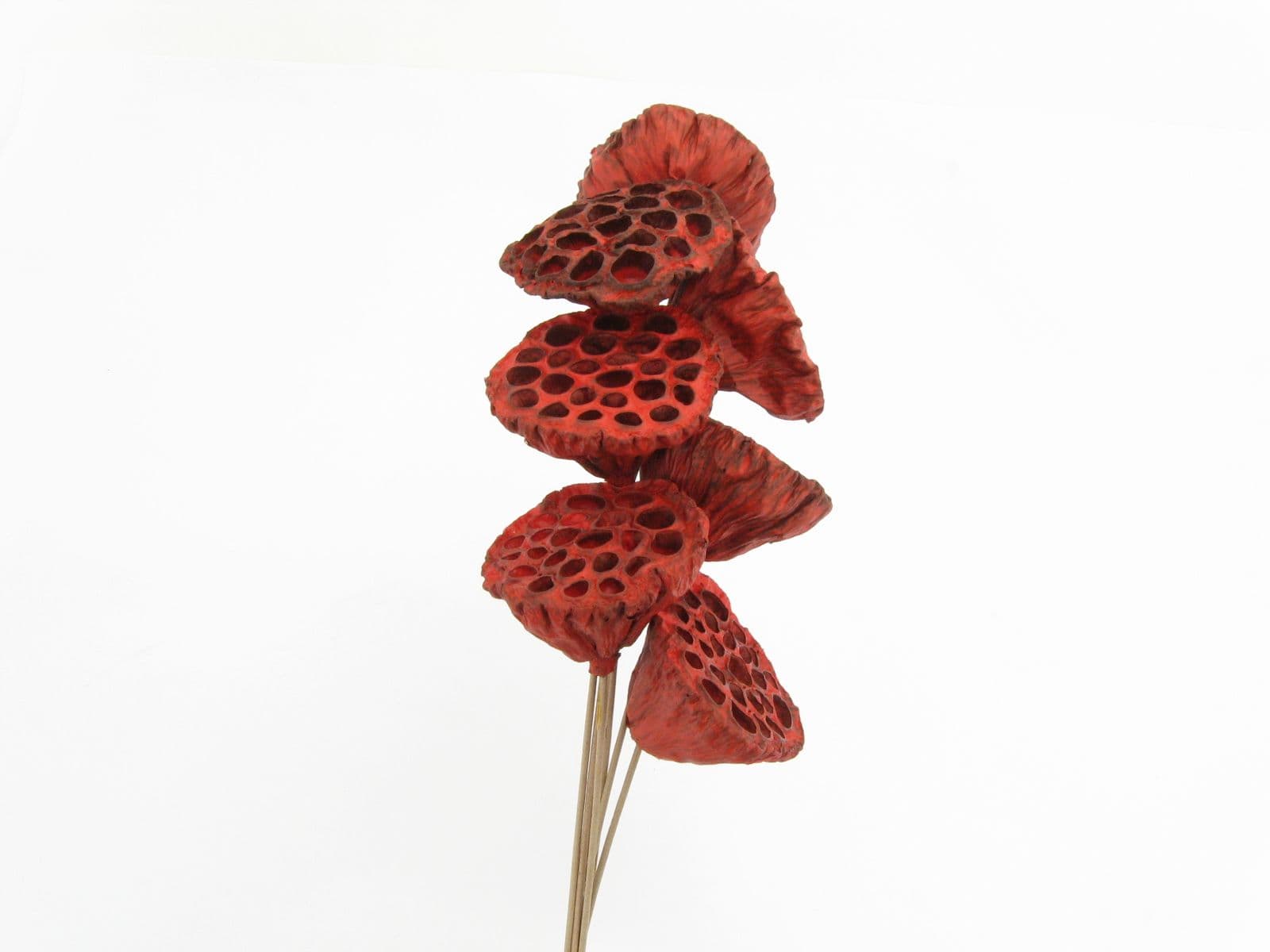 Lotus Pod Glittered Red
