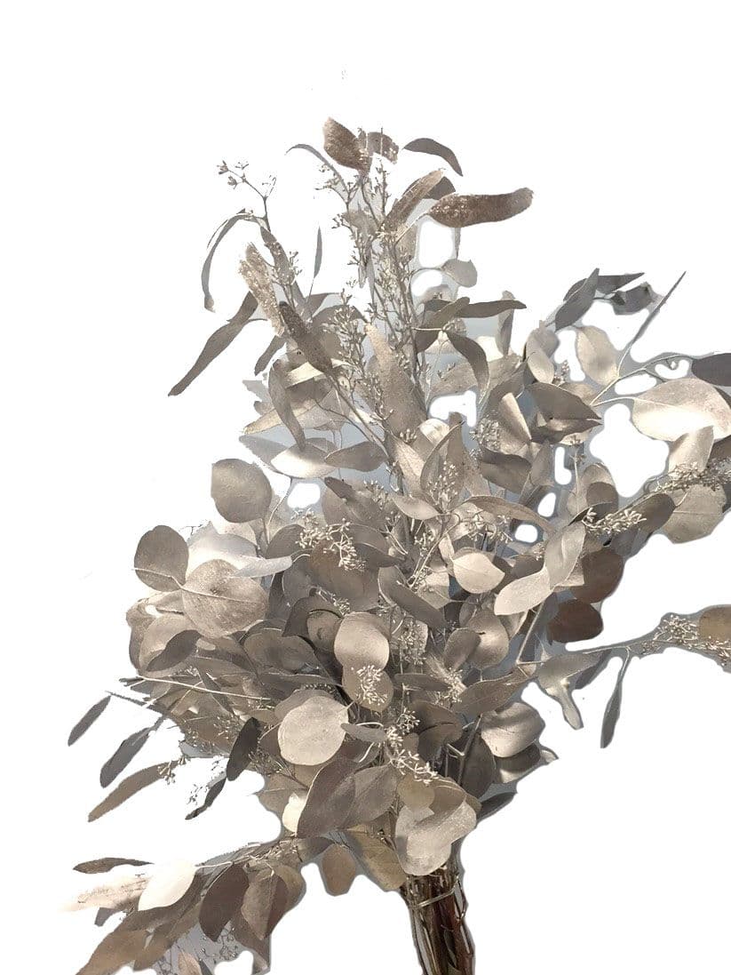 Eucalyptus Seeded Painted Silver Bunch