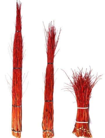 Dogwood Cardinal Red Medium 52"-60"