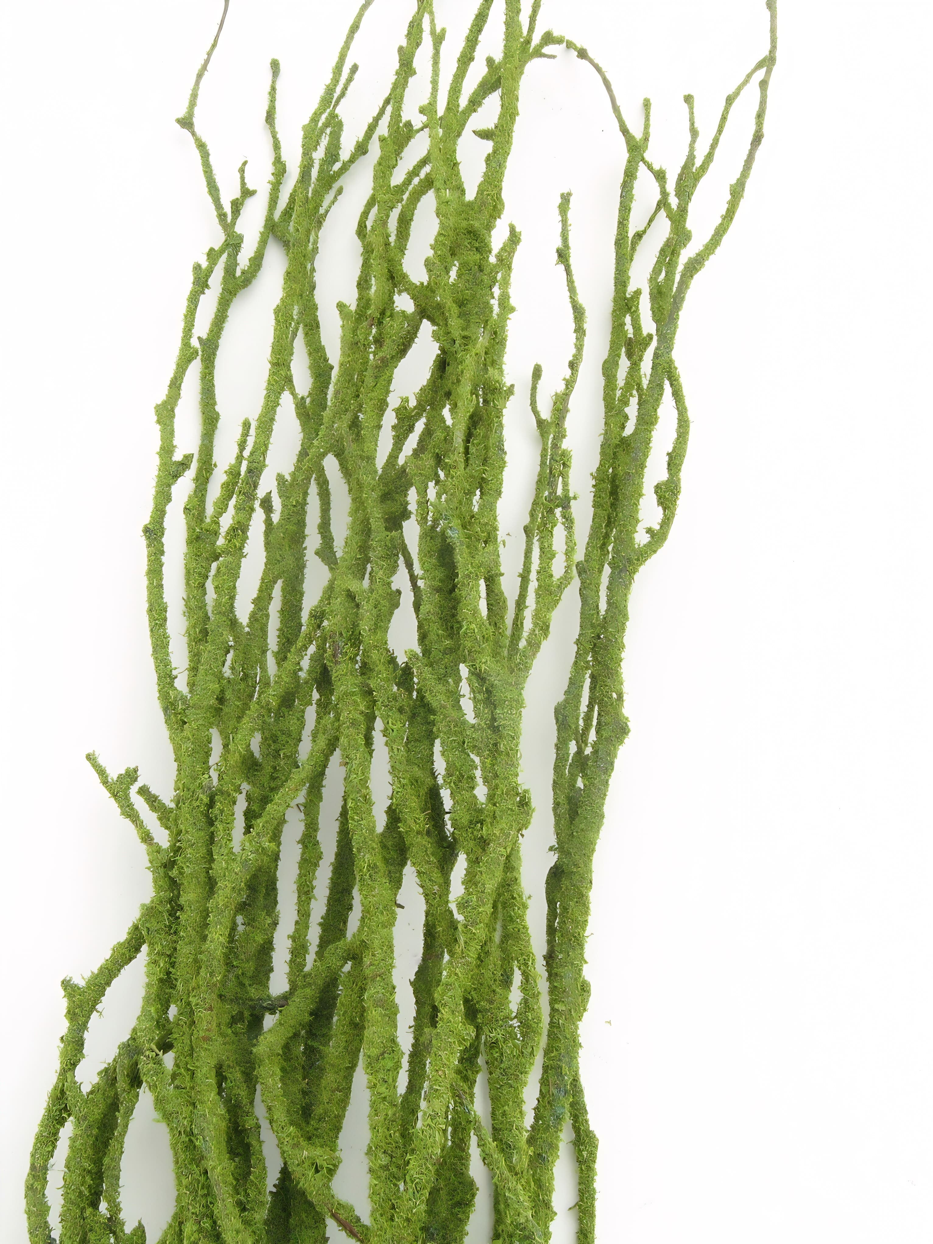 Birch Large Moss Covered 36"-48"