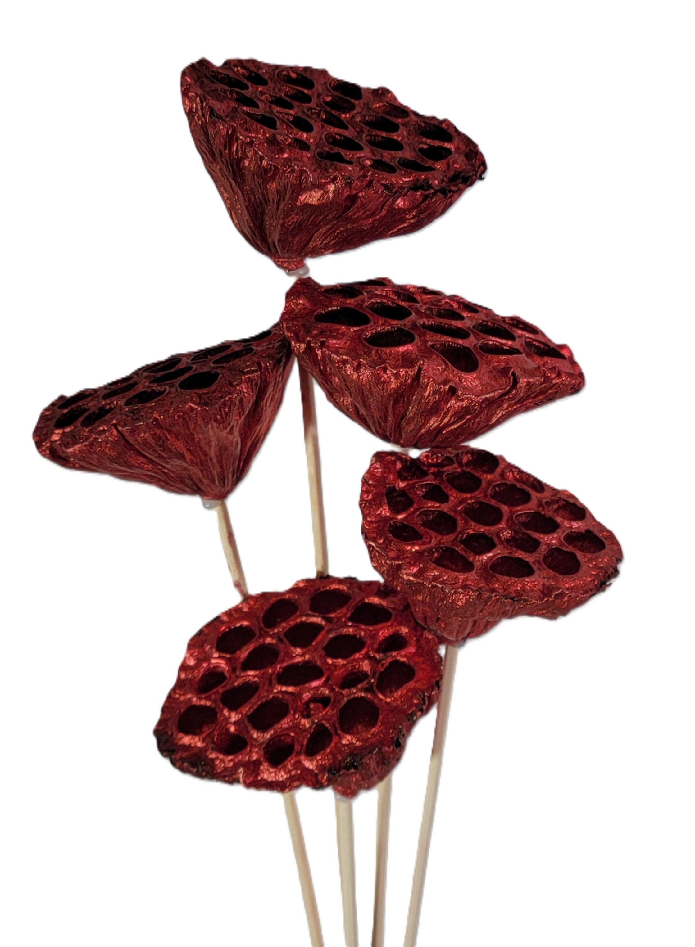 Lotus Pod Metallic Red