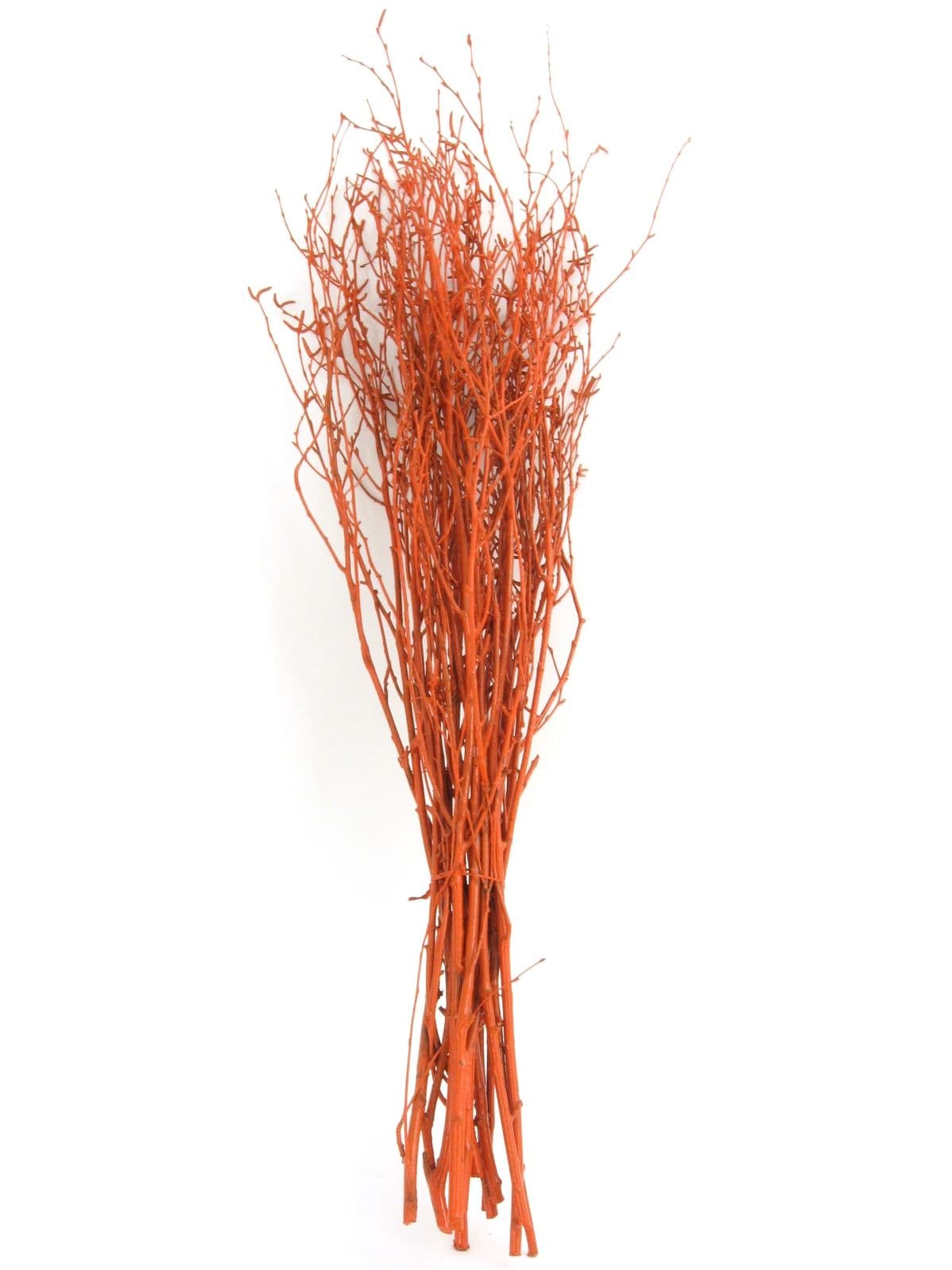 Birch Large Painted Orange 40"-48"