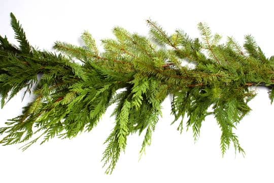 Mixed Cedar/Douglas 75' Garland