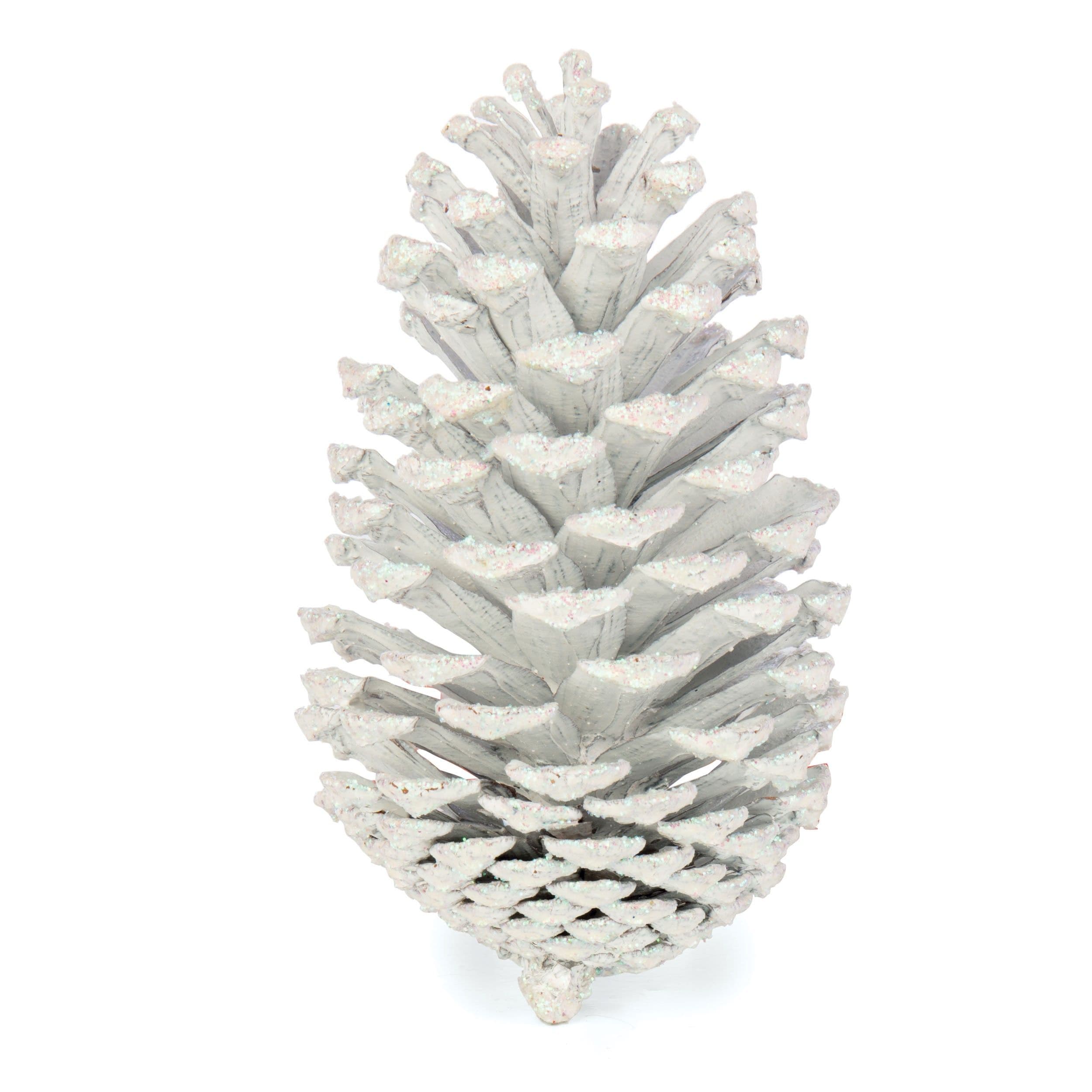 Pine Cone Reg White Wash
