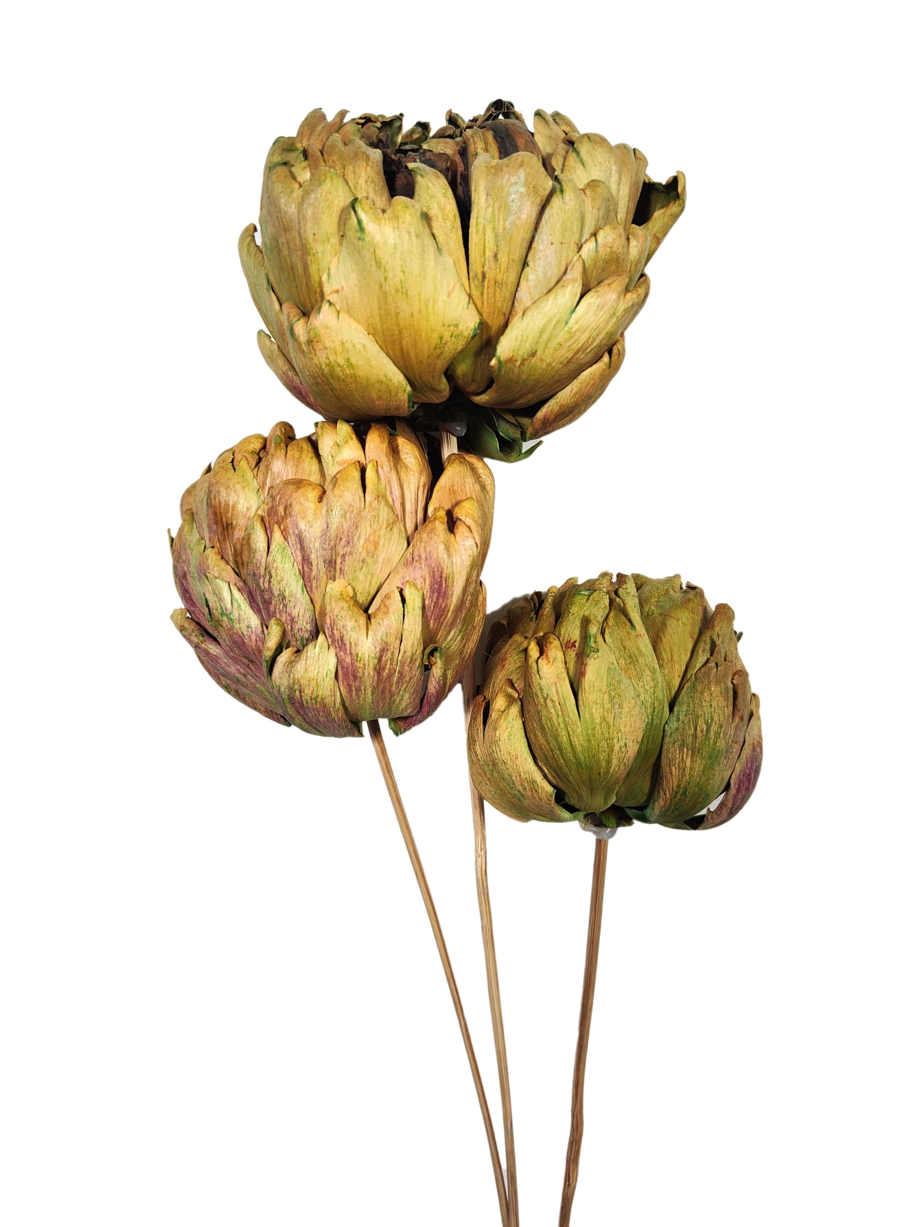 Artichoke Large Green 18"