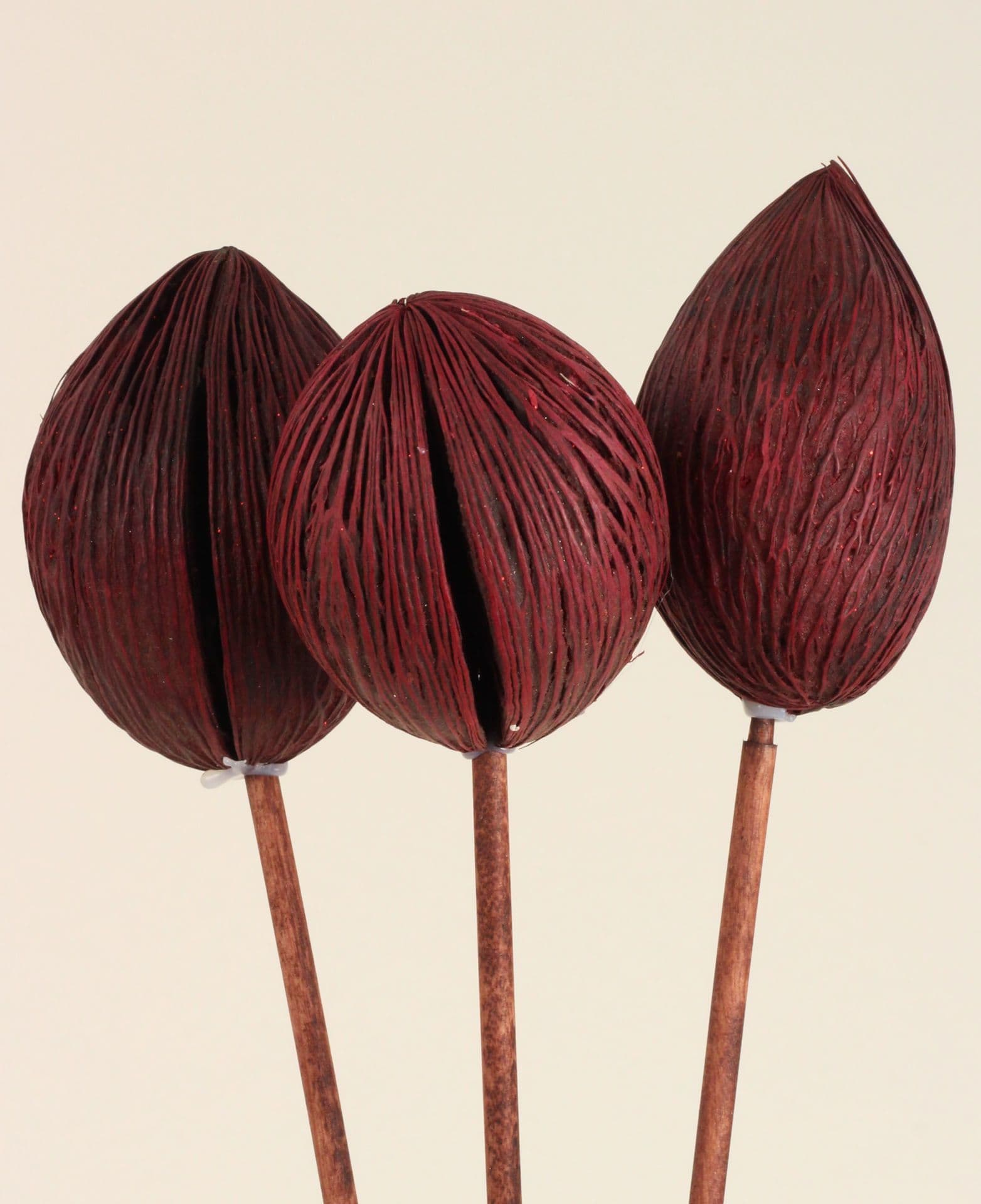 Mintolla Balls Dried Merlot