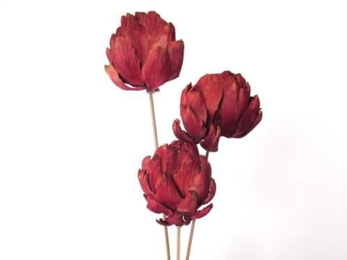 Artichoke Large Merlot 18"