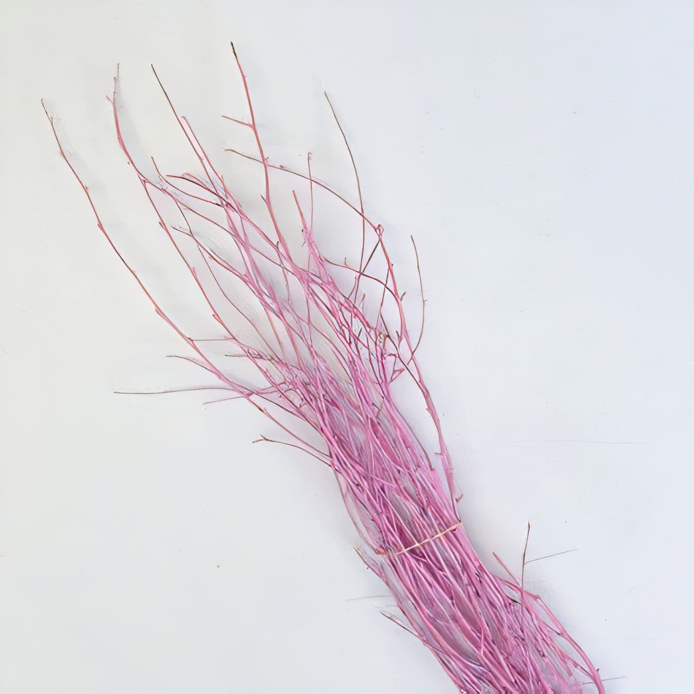 Birch Large Painted Pink 40"-48"