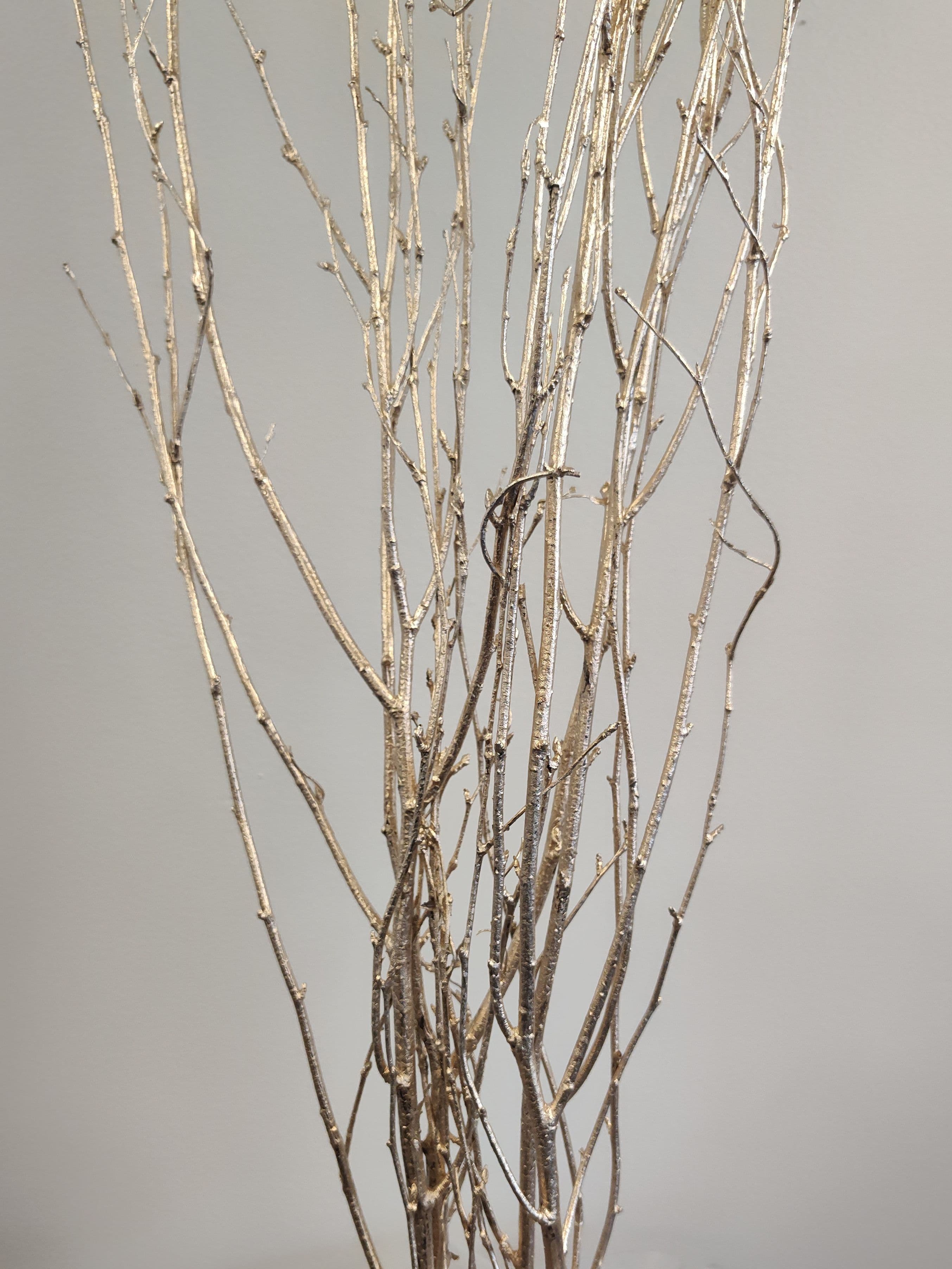Birch Large Painted Champagne 40"-48"