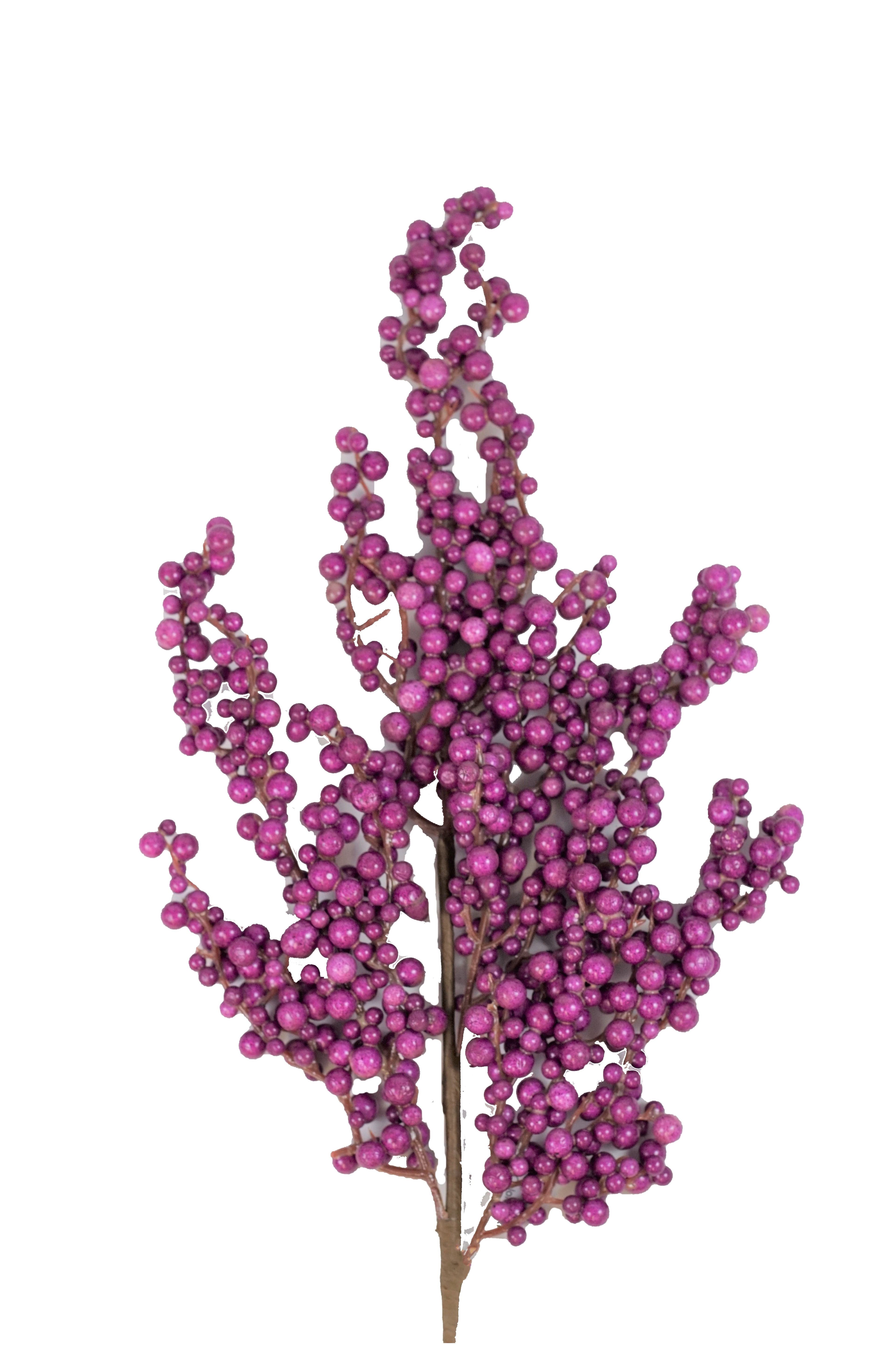 Berry Spray Purple 24"