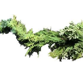 Premium Classic 25' Boxed Garland