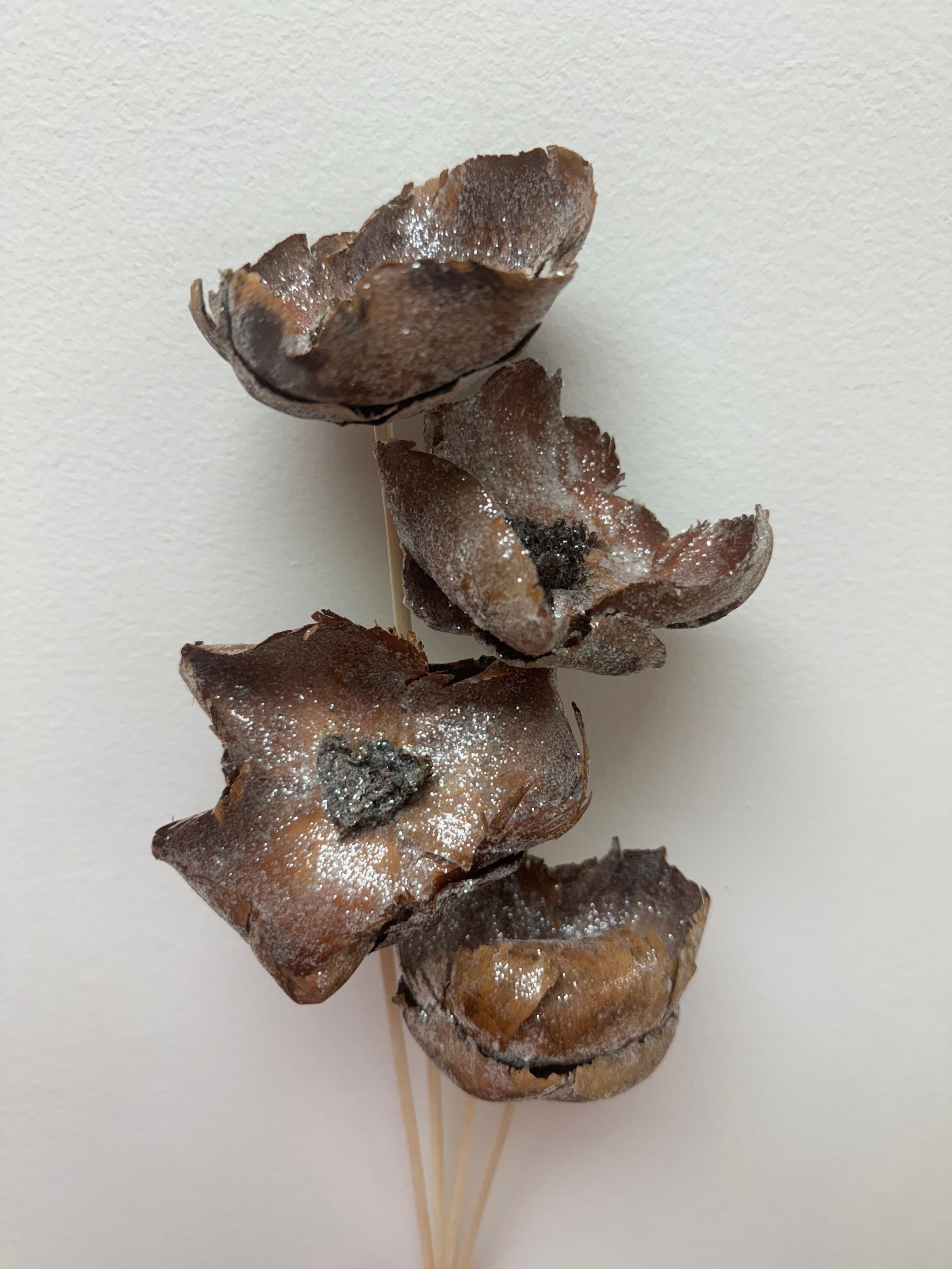 Palm Flower Dried Sugared