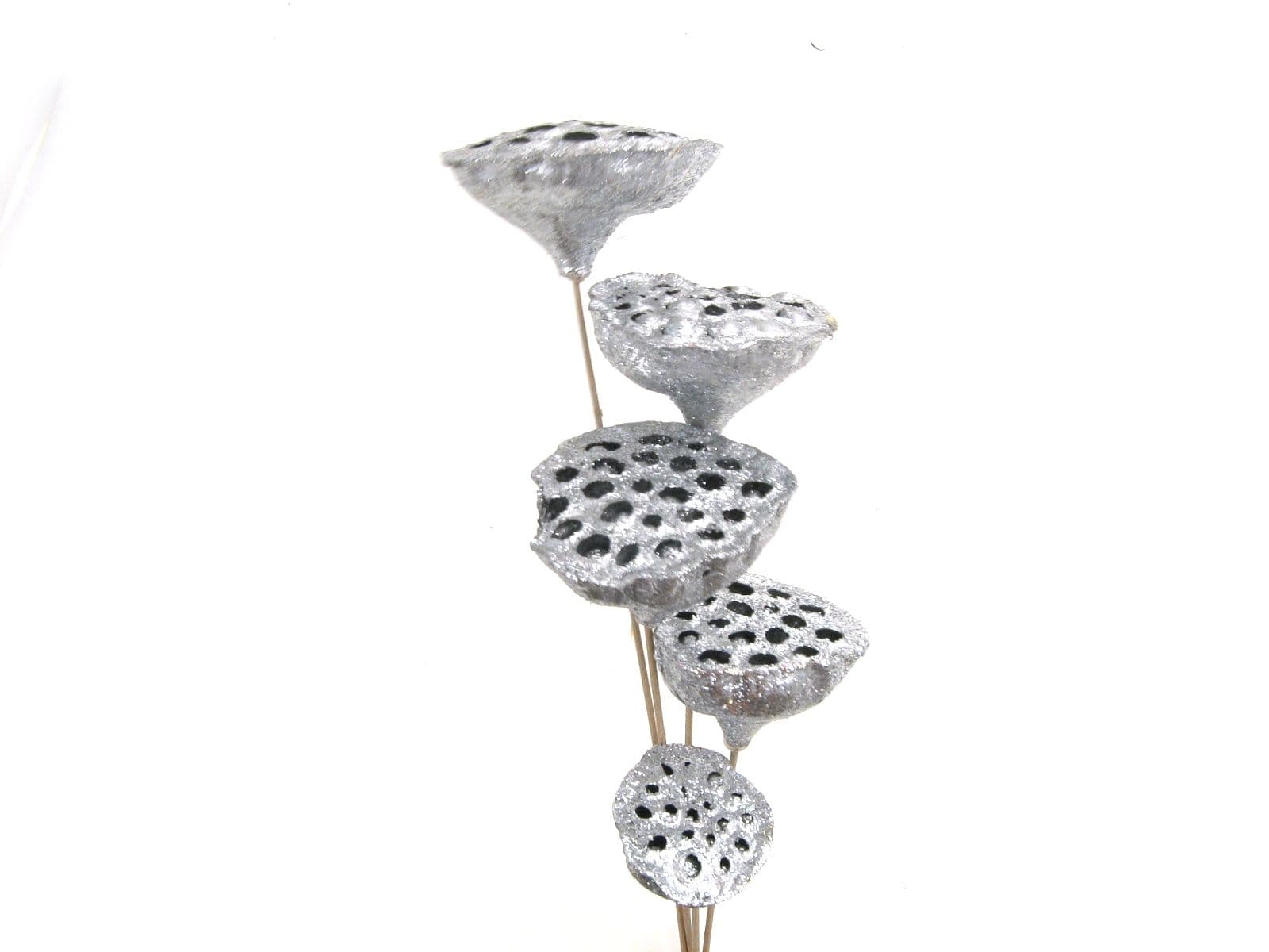 Lotus Pod Glittered Silver